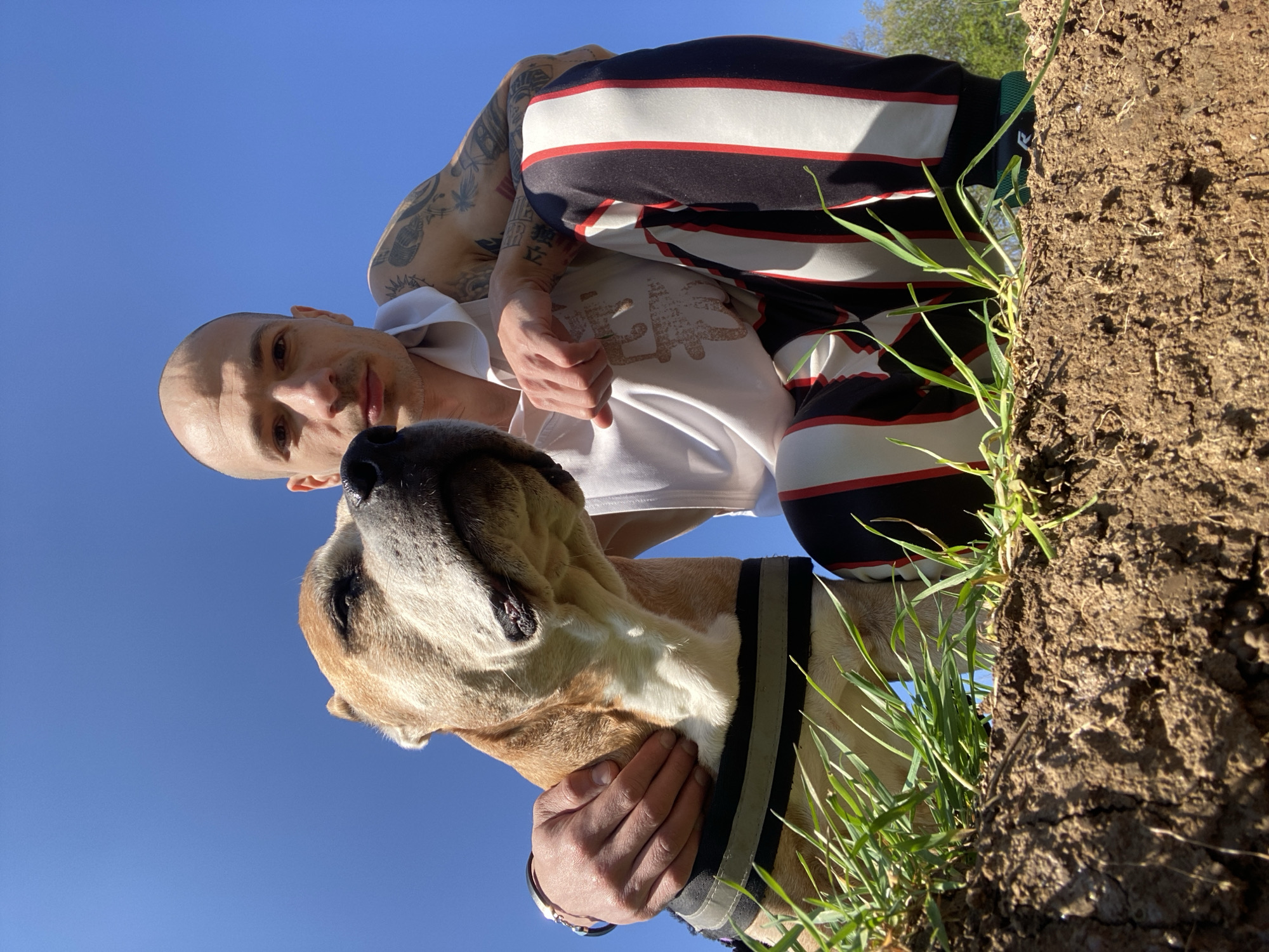 A low-angle shot shows a bald man with tattoos on his arm, wearing a white shirt and striped pants, kneeling and hugging a large, light-brown dog. The dog is wearing a dark collar with reflective stripes. Behind the man is a patch of dirt and grass. The background is a clear blue sky.
The location is not discernible from the image. No details indicate that the image was taken in the city of Pleven, Bulgaria.