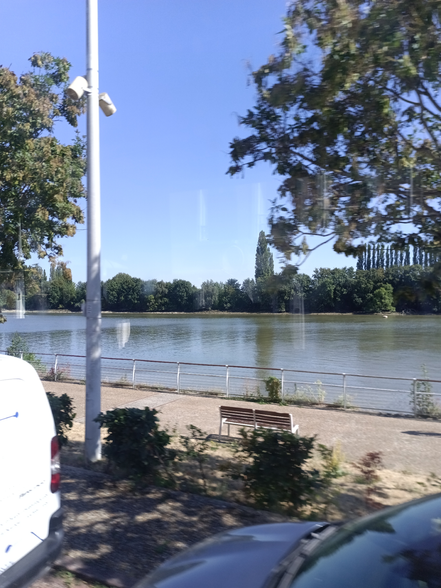 The image captures a view from what appears to be the banks of the Seine River in Duclair, France, on a clear, sunny day. In the foreground, a white van is partially visible on the left, and the hood of a dark car is prominent at the bottom right. A tall, light-colored pole with two light fixtures is situated to the left of the frame, near a tree with green foliage.
Beyond the foreground, a paved walkway runs parallel to the river. A metal railing with horizontal bars separates the walkway from the water. Two park benches with wooden slats and light-colored frames are placed on the walkway, facing the river. Green shrubs and small trees are scattered along the walkway and the riverbank.
The Seine River occupies the mid-ground, its surface appearing calm with reflections of the sky and surrounding trees. On the opposite bank of the river, a dense line of trees forms a natural barrier. The sky is a clear, bright blue. The overall scene suggests a tranquil, outdoor recreational area.