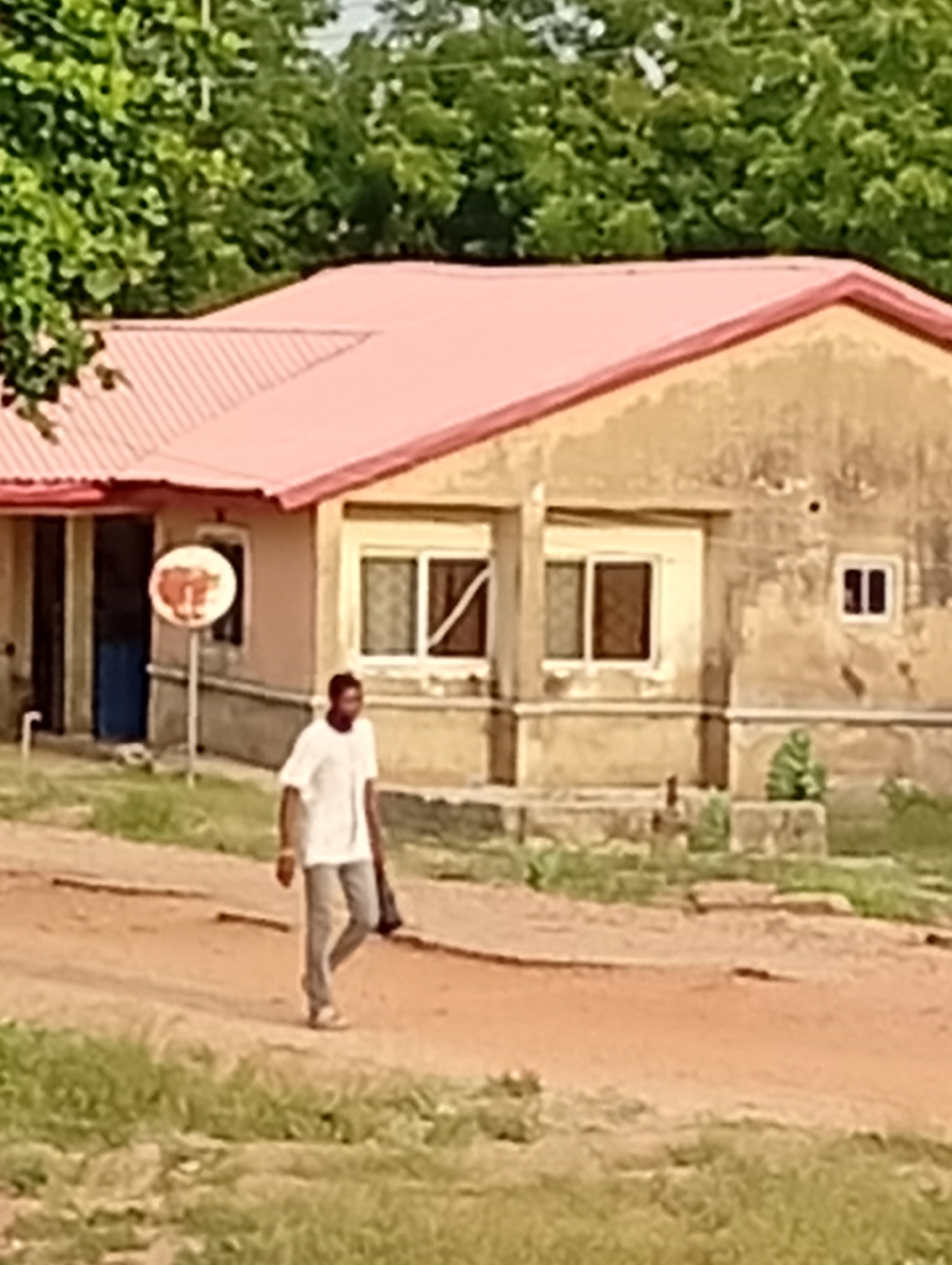 This outdoor image, set in Adankolo, Nigeria, depicts a man walking along a dirt path next to a house. The man, an adult, is dressed in a white short-sleeved shirt and light-colored trousers, carrying a dark object in his left hand. He is walking from the left to the right side of the frame.
The house in the background is a single-story structure with a distinctive reddish-pink corrugated metal roof and weathered, yellowish-brown walls. It features several windows; some are larger and multi-paned, while a smaller, single-pane window is on the far right. A partially visible blue door is located on the left side of the house. In front of the house, a white circular sign on a pole displays indistinct reddish-brown markings.
The ground is a reddish-brown dirt path, flanked by patches of green grass and foliage. A dense canopy of green trees and vegetation forms the background behind the house. Some low concrete structures or planters are visible near the house's foundation. The scene is illuminated by natural daylight, suggesting it is daytime, likely during the late morning or afternoon. No specific weather conditions are discernible, and there is no legible text present in the image. The overall scene conveys a typical day in a residential area.