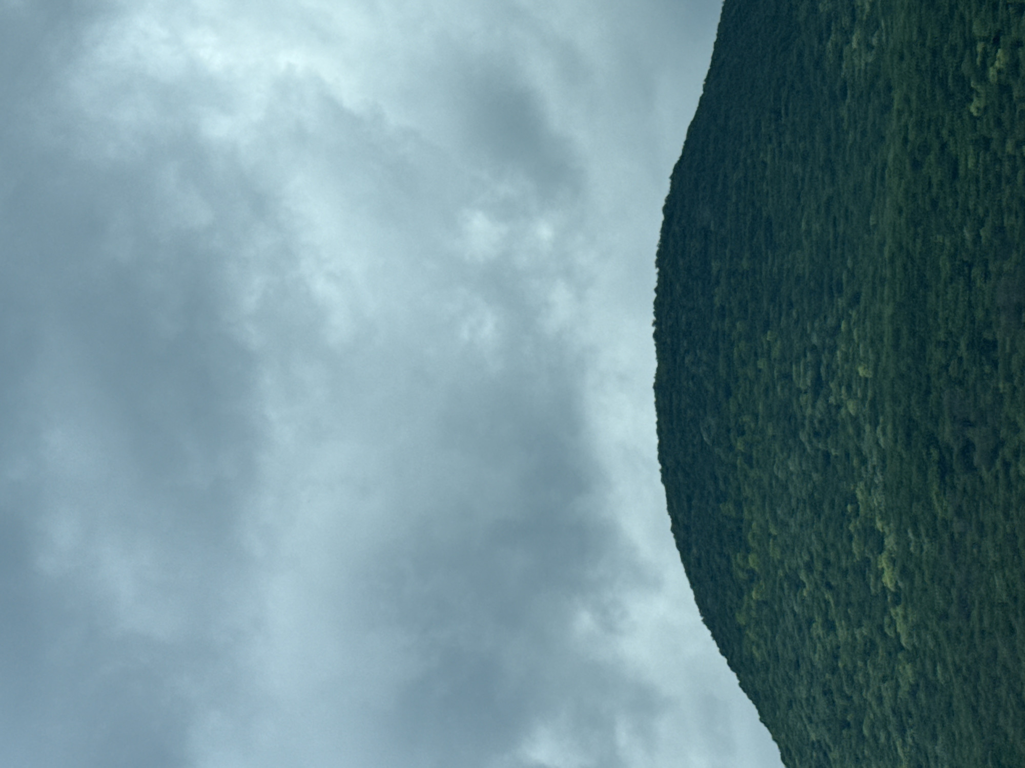 The image shows a cloudy sky occupying roughly half of the frame on the left side, contrasted with a steep, green, tree-covered hillside or mountain on the right. The lighting suggests overcast conditions. There are no discernible people, subjects, objects, actions, or interactions present in the image. The location in Mogila, Bulgaria, is not discernible from the image.