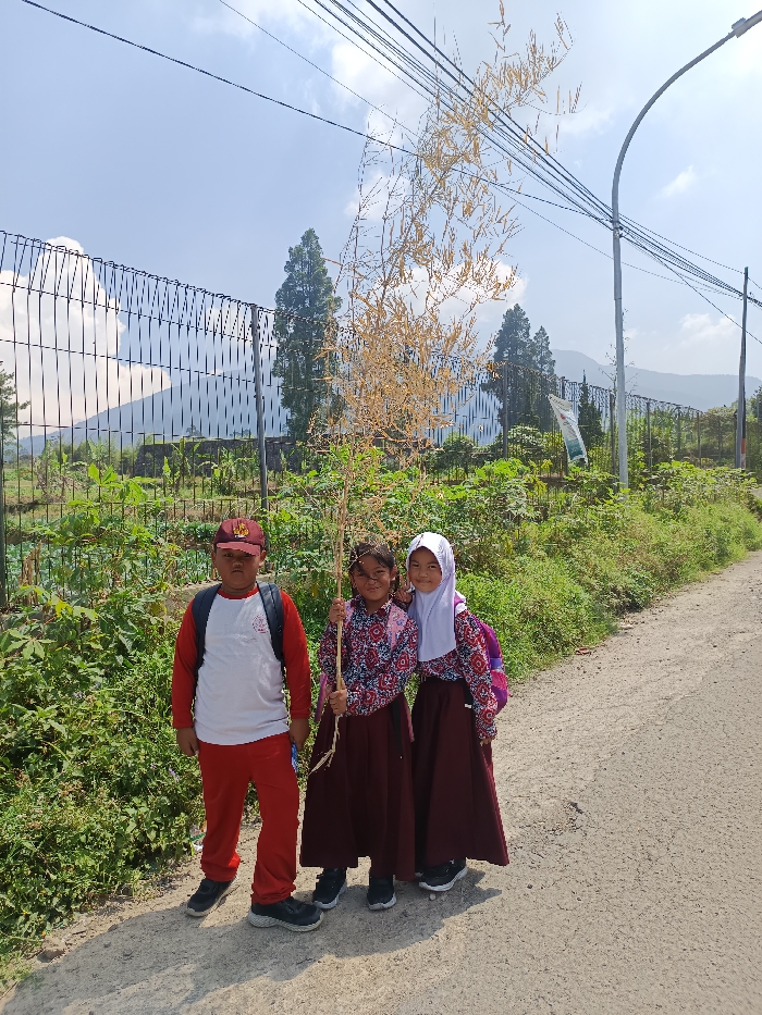 Three children are observed standing on a paved road in the city of Sukatani, Indonesia. The scene is brightly illuminated by natural daylight under a blue sky with scattered white clouds.
From left to right:
1. A male child, wearing a red baseball cap, a white long-sleeved shirt with red sleeves, red track pants, and dark sneakers. A black and red backpack is visible on his back. He faces the camera with a neutral expression.
2. A female child, wearing a patterned long-sleeved shirt (red, white, and blue motif) and a dark maroon long skirt, with dark sneakers. She holds a tall, slender, yellowish-brown plant with multiple dried branches and leaves, extending above her head, with her right hand. She smiles at the camera.
3. A female child, wearing a white headscarf (hijab), a similar patterned long-sleeved shirt, a dark maroon long skirt, and dark sneakers. A purple backpack with a pattern is visible on her back. She also smiles at the camera.
The children are positioned on the edge of the asphalt road. Behind them and to their left, a dark metal mesh fence runs horizontally, separating the road from an area of dense green vegetation and what appears to be a cultivated field or garden. In the mid-ground, behind the vegetation, several tall evergreen trees are visible, with distant mountains or hills forming the horizon. Multiple dark power lines stretch across the upper portion of the sky, connected to a grey street light pole on the right side of the frame. A partially visible white banner with green details hangs on the fence further to the right.