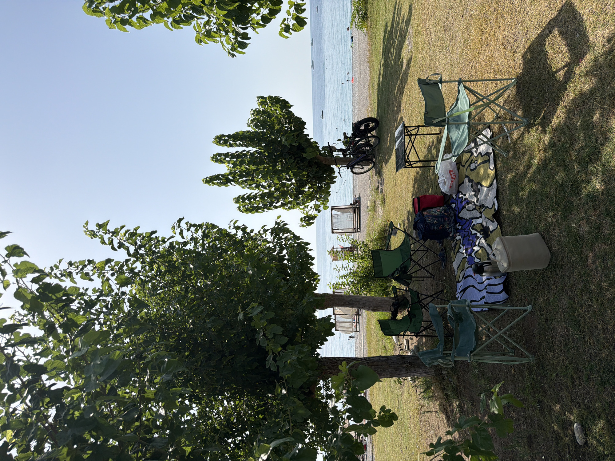 The image depicts a tranquil scene on a sunny day, likely in Kemer, Turkey, situated by the Mediterranean Sea. In the foreground, a shaded picnic area is set up under the canopy of lush green trees. Several green folding chairs are arranged around a colorful blanket spread on the grass. A small portable table is also present, along with a cooler bag and a thermos.
The background reveals a picturesque beach with fine pebbles, where a few people are seen enjoying the water or relaxing on the shore. The sea is a vibrant blue, dotted with a few boats in the distance. The sky is clear and a bright azure. To the right of the picnic area, two bicycles are parked near a tree, suggesting a mode of transportation for the visitors. The overall ambiance is one of leisure and relaxation, typical of a beachside holiday.