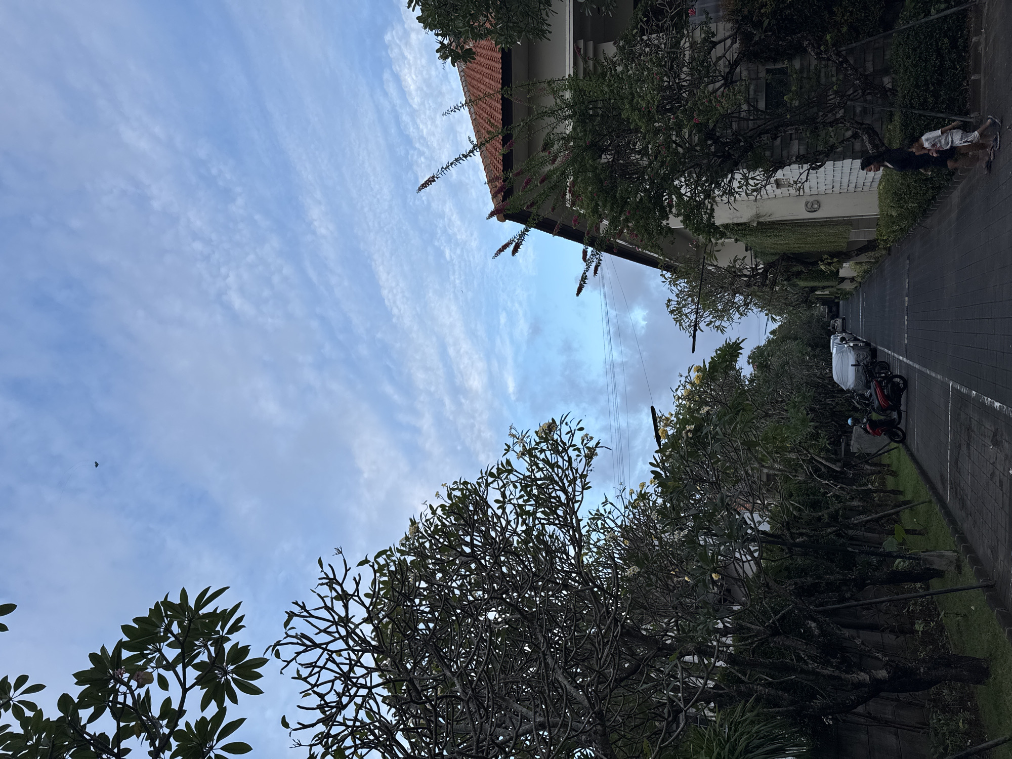 The image depicts a street scene in Denpasar, Indonesia, during what appears to be either dawn or dusk, given the soft lighting and cloudy sky. The perspective is looking down a paved street lined with trees and residential buildings.
On the left side of the street, a row of trees with dark, gnarled branches and green foliage is prominent. These trees are staked, suggesting they are young or have been recently planted. Beyond the trees, a low wall is visible.
The right side of the street features a building with a terracotta tiled roof and light-colored walls. Greenery, including hanging plants and bushes, is integrated into the building's facade and surroundings. A small number "6" is visible on the building.
In the middle of the street, parked cars are visible, including a white car and a red motorcycle with a rider wearing a helmet. Further down the street, more parked cars can be seen.
Two individuals are walking on the right side of the sidewalk. A woman in a dark outfit is walking with a young child in a patterned shirt and shorts. They are walking away from the viewer.
The sky above is a pale blue with wispy white clouds, creating a textured ceiling to the scene. A small, dark object, possibly a bird or a drone, is visible in the upper left portion of the sky. The overall impression is a quiet, residential street in a tropical urban environment.