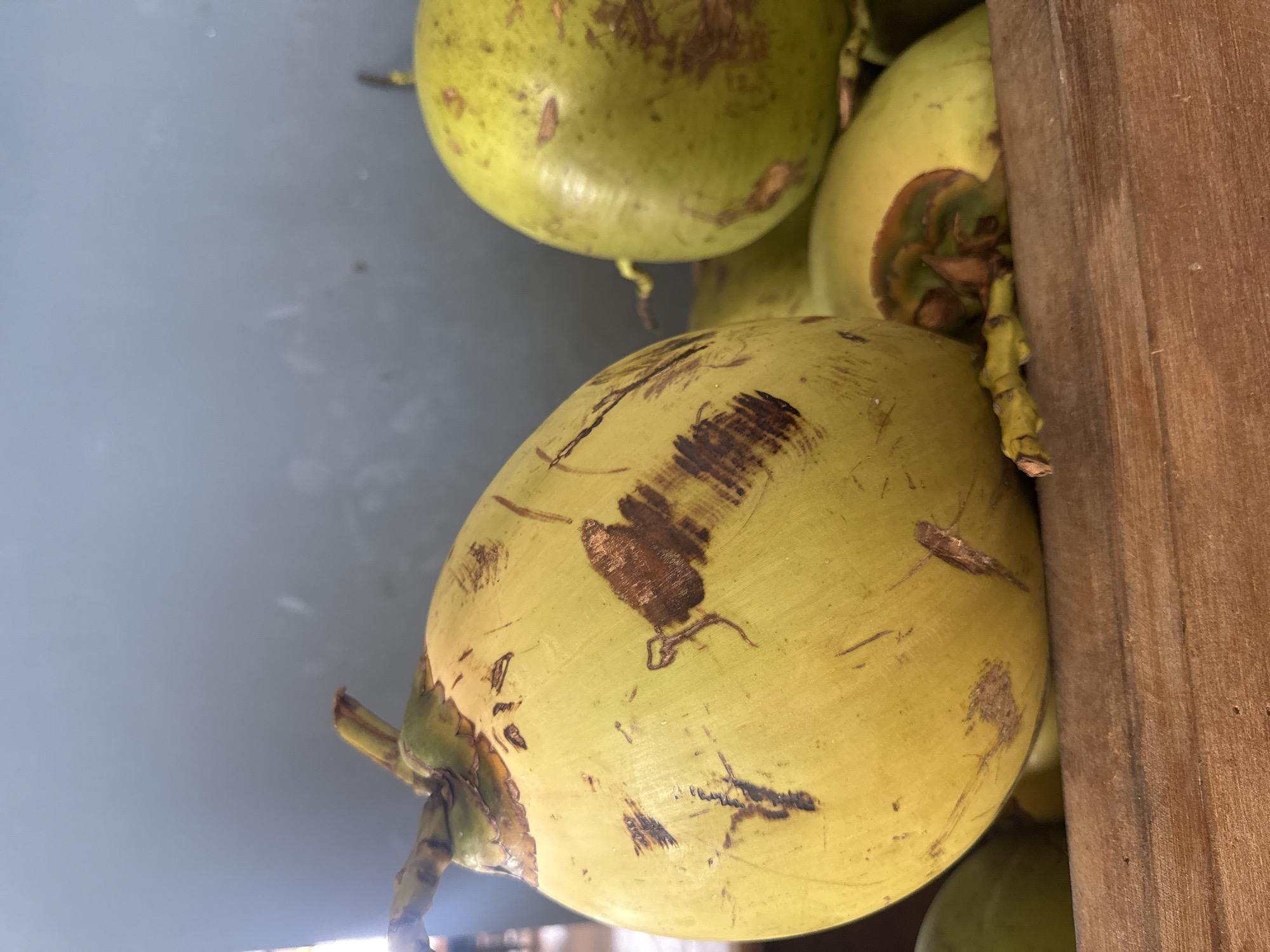 A close-up, slightly angled shot shows several young coconuts. The coconuts are light green to yellow in color with brown markings on their surfaces. They are situated near a weathered, wooden structure. The location is in Kuta Selatan, Indonesia.