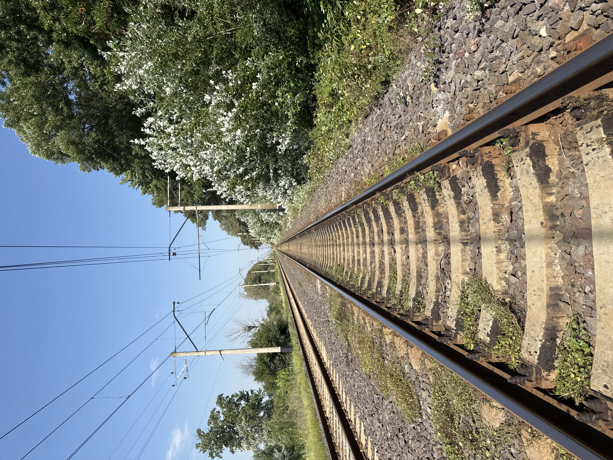 The image shows a pair of railway tracks extending into the distance, with the sky visible above. The tracks are bordered by gravel and vegetation. Overhead power lines run parallel to the tracks, supported by wooden poles. Trees and bushes, some with white flowers, line the right side of the tracks. The scene appears to be outdoors in a rural or semi-rural setting. The location is identified as Kvemo Khvedureti, Georgia. There are no people or active vehicles visible in the image.