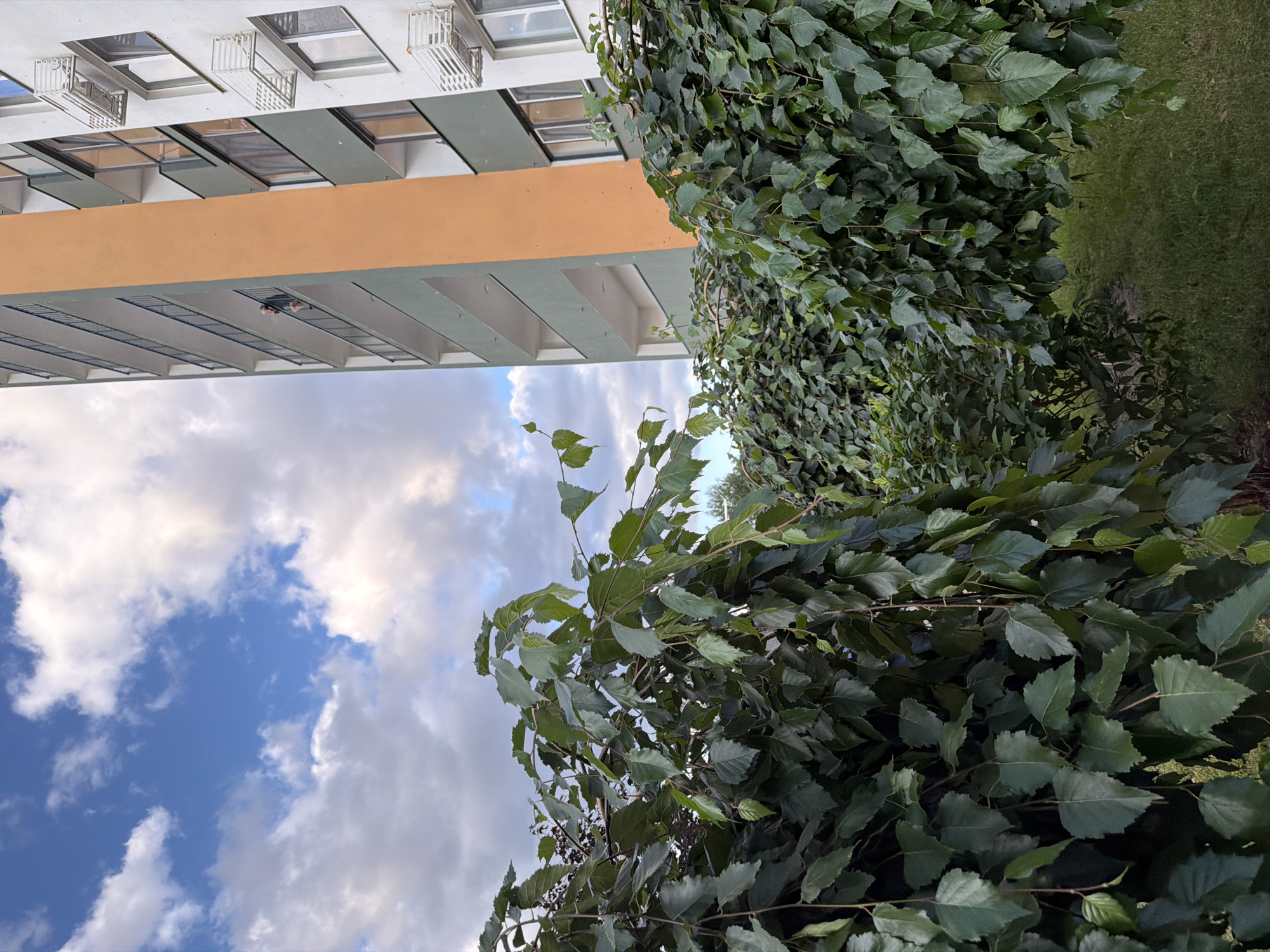 The image depicts a section of a modern apartment building in Kyiv, Ukraine. The building, characterized by its green and orange facade with visible balconies and windows, stands tall against a partly cloudy sky. In the foreground, lush green trees and foliage partially obscure the view of the building. A person can be seen standing on a balcony of the building, leaning on the railing. The environment appears to be an urban residential area.