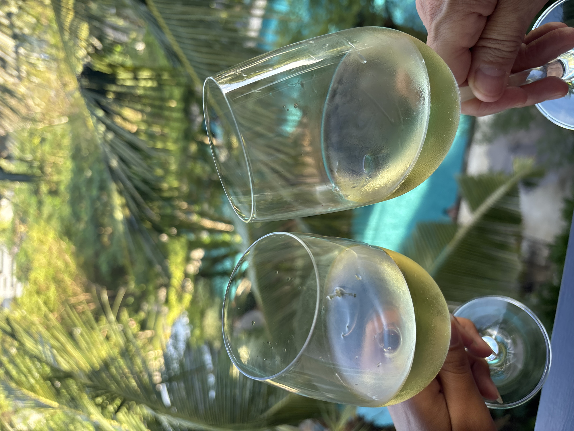 Two hands hold stemmed wine glasses filled with a pale, opaque liquid, likely white wine. The glasses are positioned near each other, suggesting a toasting gesture. The background is blurred, showing palm trees and a turquoise-colored pool, indicative of a tropical location. The image appears to be taken from a high vantage point, overlooking a resort-style setting. This scene occurs in Kuta Selatan, Indonesia.