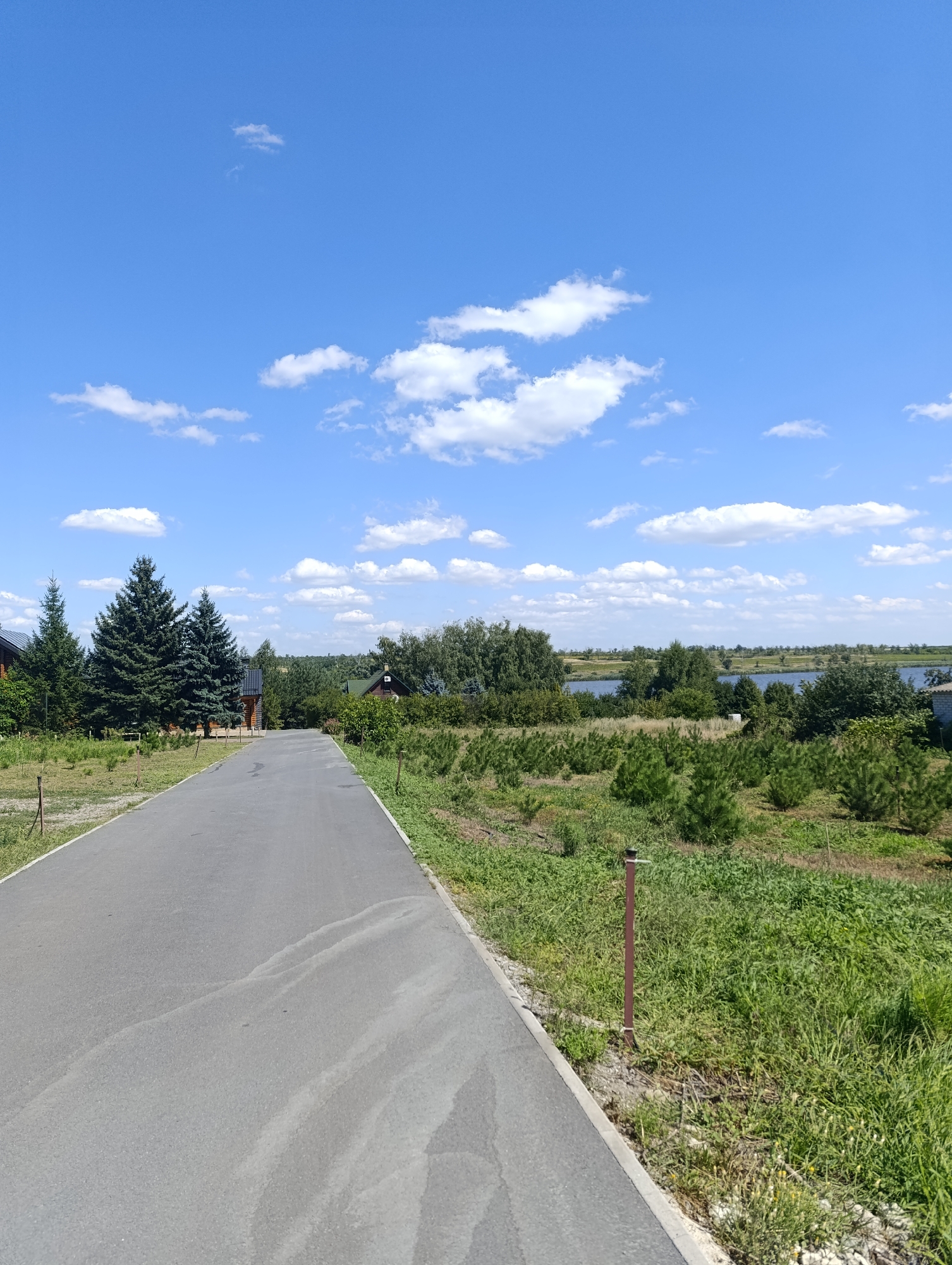 The image depicts a rural scene in Bulatselivka, Ukraine, on a sunny day with a bright blue sky and scattered white clouds. A paved road leads away from the viewer, curving slightly to the right. On the left side of the road, there are several tall evergreen trees and some wooden structures that appear to be houses or cabins. The right side of the road is bordered by a grassy area with young pine trees and a few small yellow wildflowers. In the distance, a body of water, likely a lake or river, is visible, surrounded by a line of trees and vegetation. The overall impression is one of a tranquil, natural landscape.