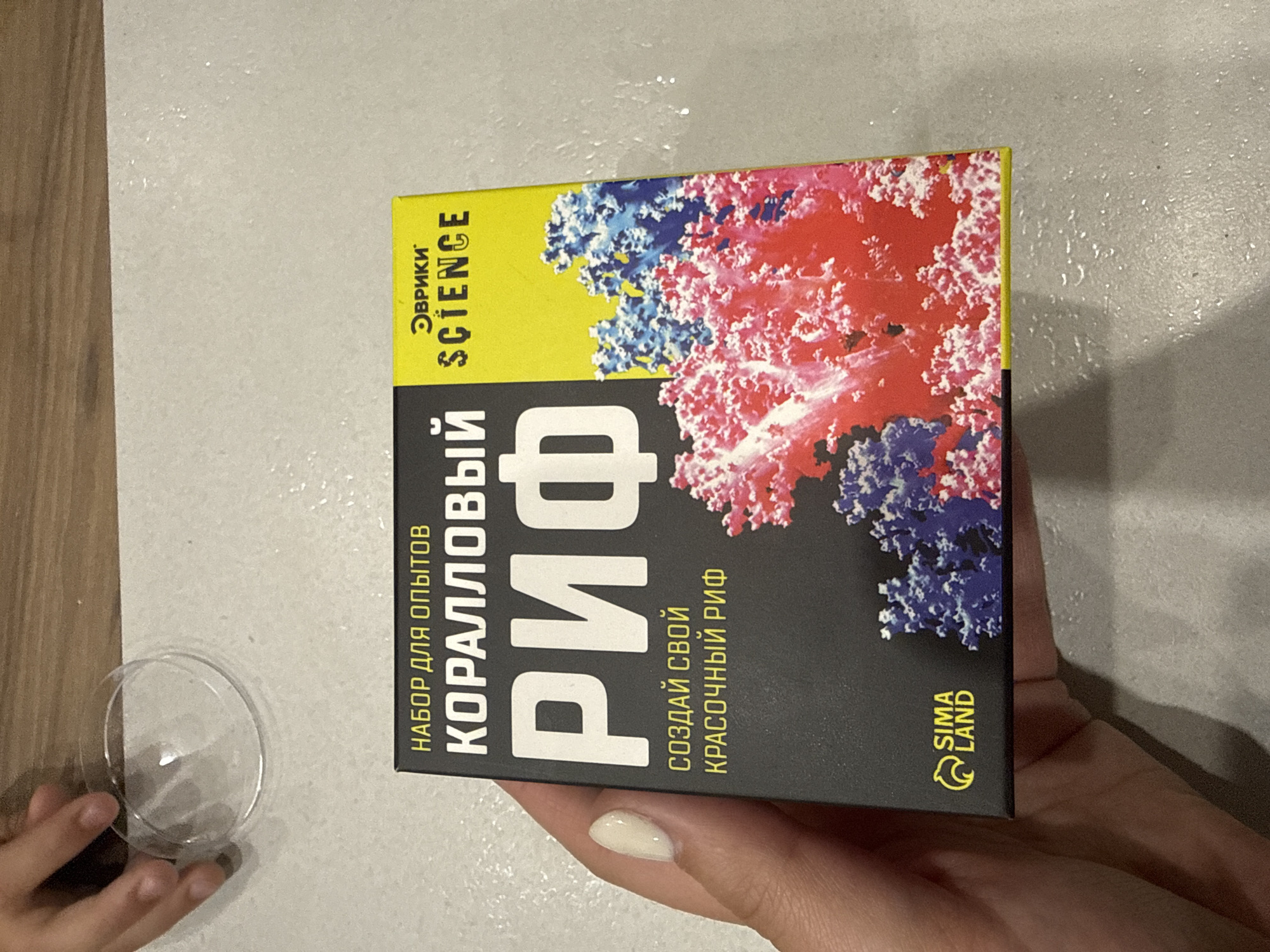 The image captures an indoor scene featuring two sets of hands and a science kit. A person's hand, adorned with pale nail polish, holds a rectangular box, which is the main subject. The box displays a vibrant graphic of blue, red, and white coral-like structures against a black background, transitioning to a bright yellow top section. On the left, another person's hand, likely a child's, is visible near a clear, round plastic container, possibly a petri dish or a small bowl. The items are resting on a light-colored countertop or table, with a wooden surface partially visible on the far left.
The box features text in both Cyrillic and Latin script. The yellow top section reads "ЭВРИКИ" (Evriki) and "SCIENCE". The black part of the box prominently displays "НАБОР ДЛЯ ОПЫТОВ" (Kit for experiments) at the top, followed by large white text spelling "КОРАЛЛОВЫЙ" (Coral) and "РИФ" (Reef). Below this, smaller white text indicates "СОЗДАЙ СВОЙ КРАСОЧНЫЙ РИФ" (Create your colorful reef). In the bottom right corner of the box, the brand "SIMA LAND" is visible in yellow text with a swirling logo. The arrangement suggests an experiment or craft activity, specifically related to creating a coral reef, is about to begin or is underway.
