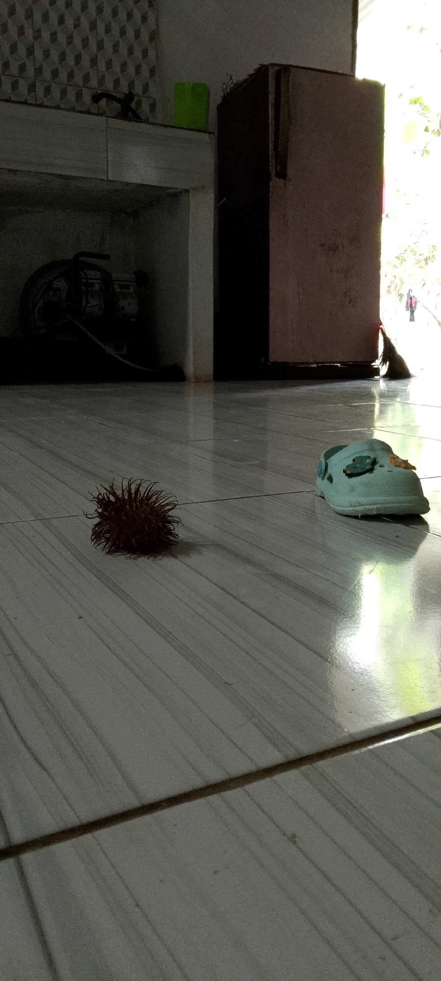 In an indoor setting with tiled flooring, a single light blue child's sandal with decorative cartoon figures is positioned on the right side of the frame. To the left, a spiky, brown, spherical object lies on the floor. In the background, on a shelf, a green plastic cup is visible, and further back, a dark object, possibly a machine with a wheel, is obscured by shadow. A tall, pinkish-brown structure stands in the mid-ground, with a doorway or opening to its right where sunlight streams in, revealing some vegetation and a dark figure partially visible outside. The environment appears to be a domestic or storage area.