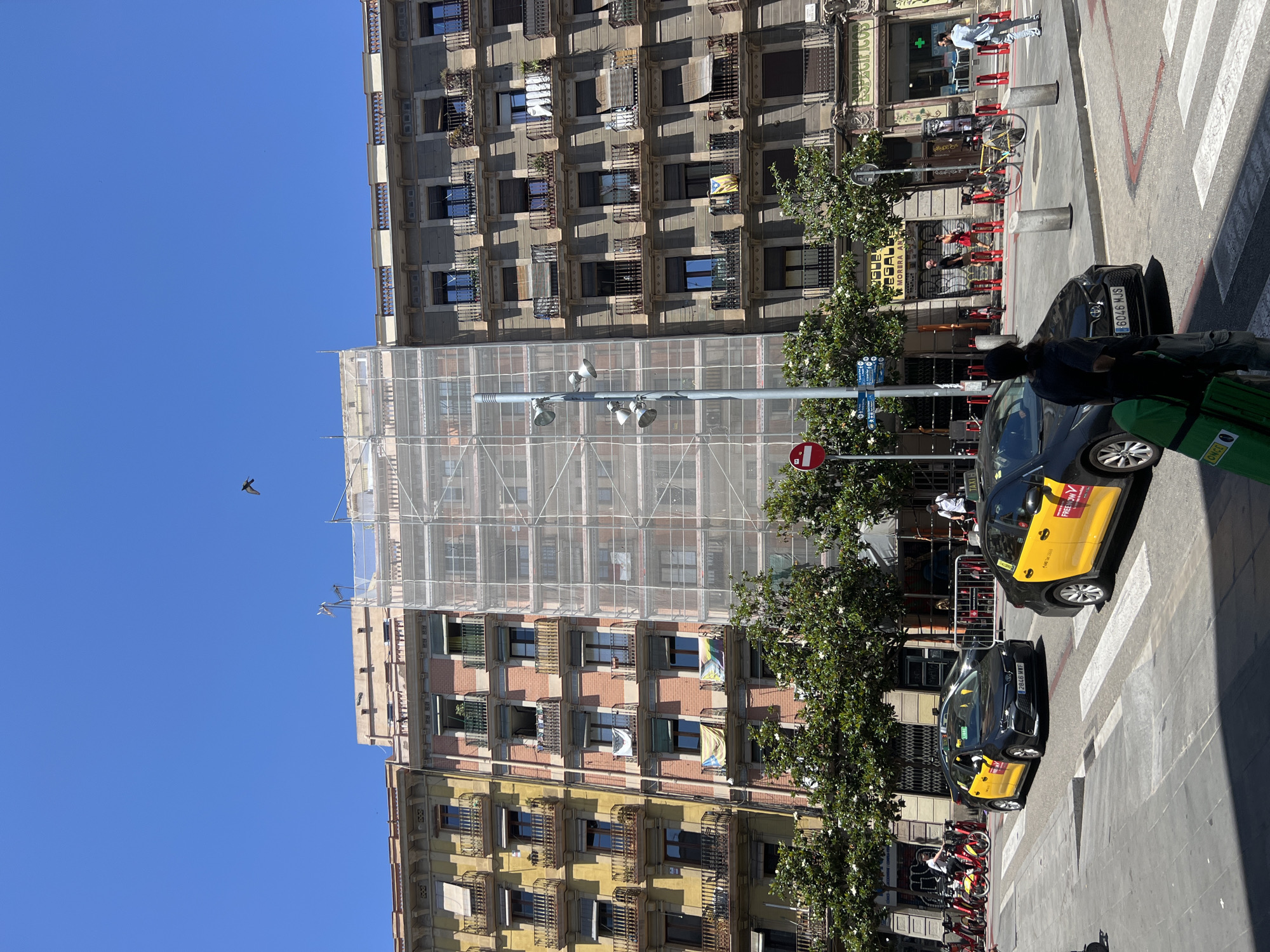 The image captures a street scene in Barcelona, Spain, on a sunny day under a clear blue sky. The foreground features a pedestrian crossing and two black and yellow taxis. One taxi, a Toyota, has its front passenger door open and its license plate reads "2846 MWF". A person wearing a black t-shirt and dark pants stands near this taxi, holding a green case. The second taxi, also black and yellow, is behind the first and its license plate is partially visible.
In the middle ground, a row of trees with white blossoms lines the street. Behind the trees, several buildings are visible. The central building is partially covered in white scaffolding and netting, suggesting renovation or construction. To its left, a yellow building and a pink building stand, both featuring balconies with ornate railings. To the right of the scaffolding, a grey building with similar balconies and windows is prominent. Various shops and businesses are identifiable at street level, some with their shutters down. Red bicycle racks are also present, with some bikes parked within them.
The background shows more buildings and the continuation of the blue sky. A small bird is captured flying in the upper portion of the image. The overall impression is of a busy urban environment with architectural elements characteristic of Barcelona.