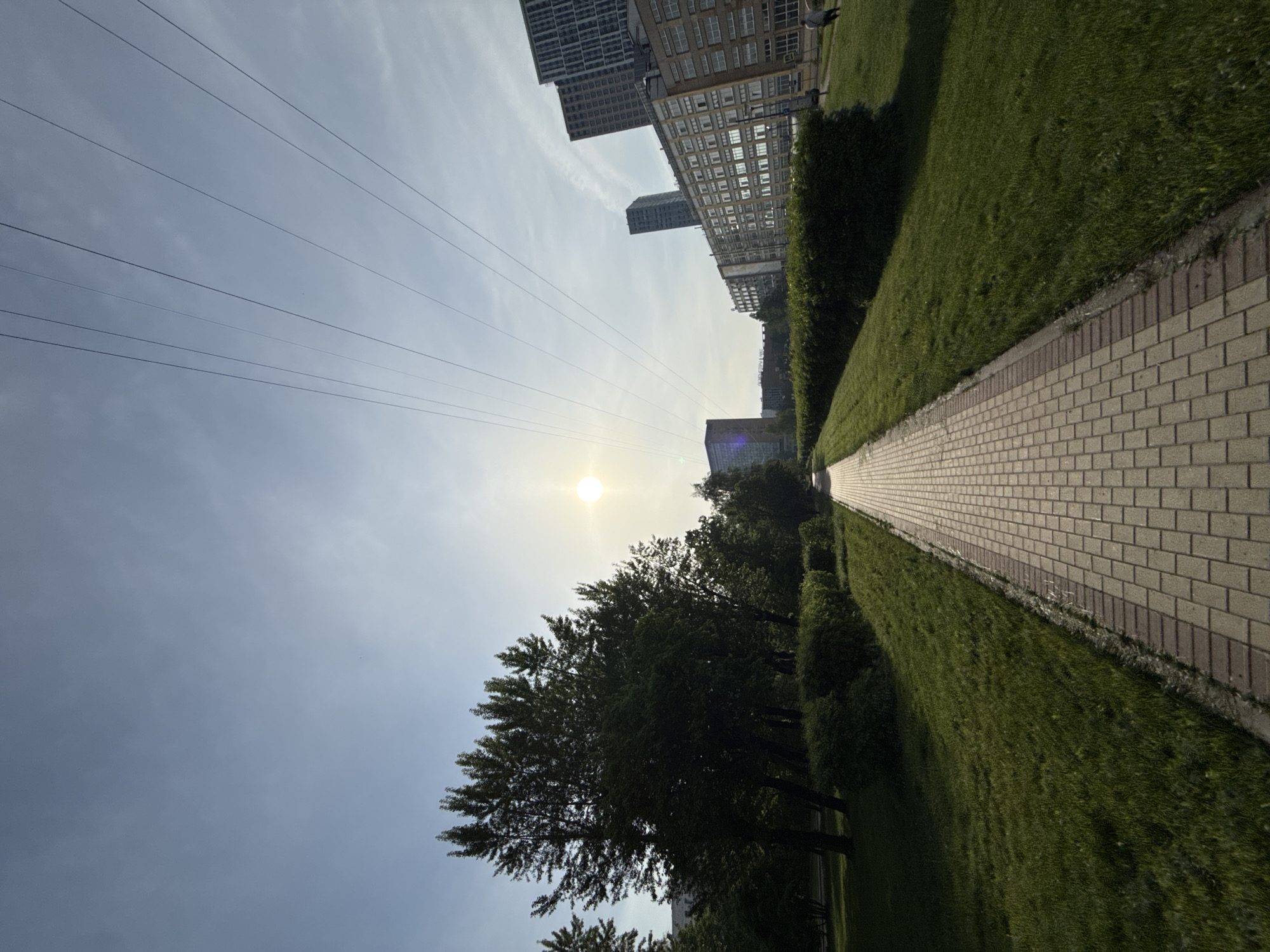 The image shows a street in Moscow, Russia. A paved path leads away from the viewer, flanked by grass and hedges. Tall buildings rise in the background. Overhead, power lines stretch across the sky, and the sun shines brightly. The scene appears to be a sunny day in a modern urban park.