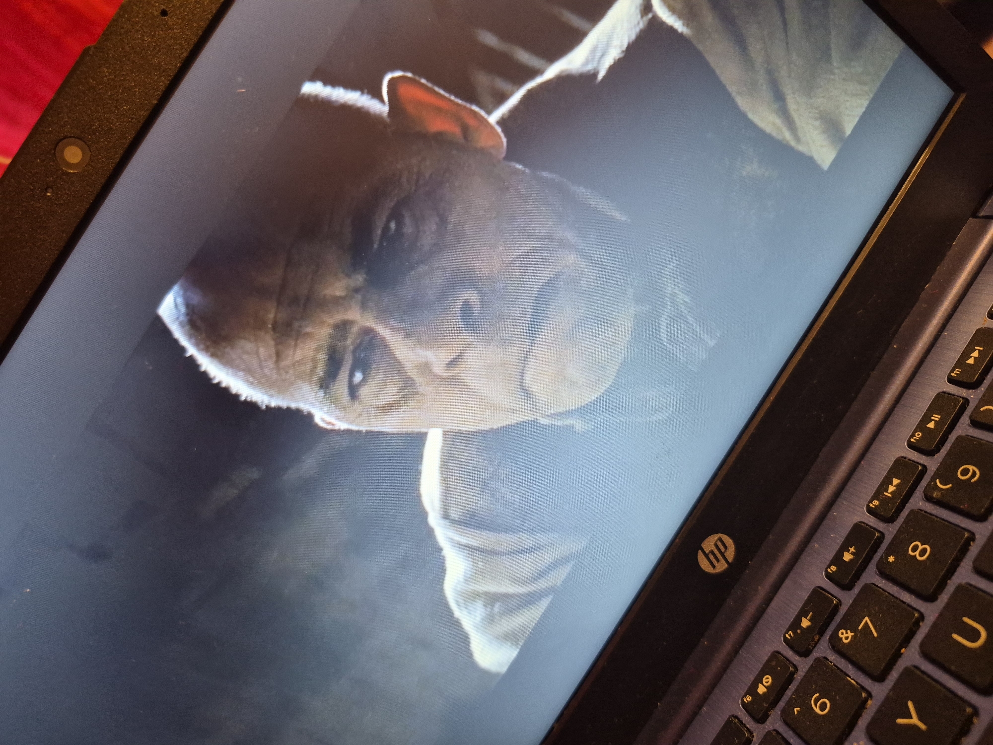 The image shows a close-up of a laptop screen displaying a still from a movie or show. The screen features a close-up of a man's face, with a somber expression. His skin is weathered, and he appears to be wearing simple, possibly historical, clothing. The lighting is dim, with a light source illuminating his face from the side, casting shadows. The laptop itself is dark-colored, with a visible HP logo on the bezel above the keyboard. The keyboard is also visible, with dark keys and lighter yellow lettering. The image is taken at an angle, with the laptop resting on a surface, possibly a desk or lap. There is no discernible information in the image that would indicate its location in Sandwell, United Kingdom, or any specific city.
