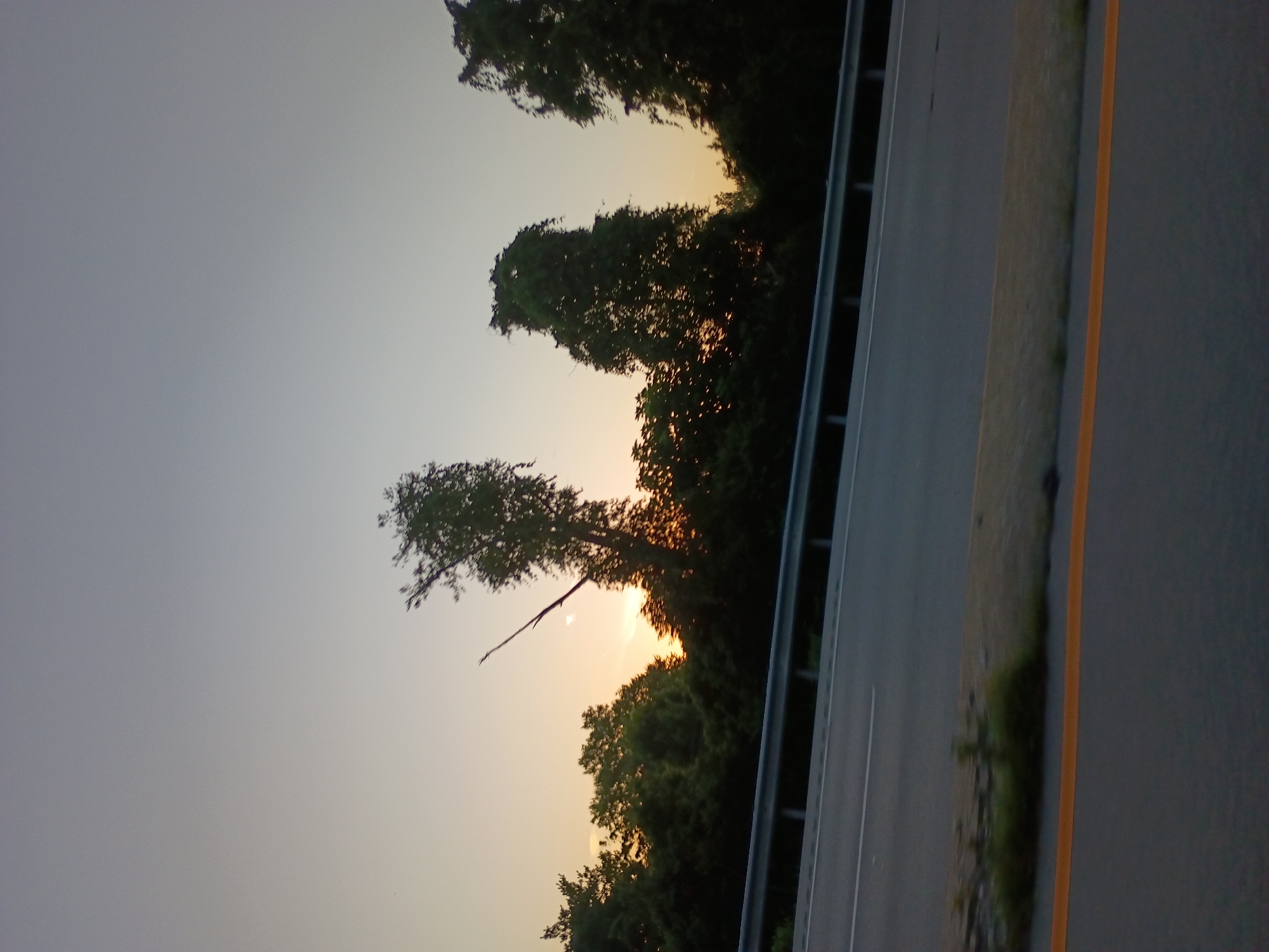 The image depicts a sunset scene with trees silhouetted against a pale orange and grey sky. A highway guardrail runs horizontally across the lower half of the frame, separating a road from the natural landscape. The road is paved and appears to be a multi-lane highway. The trees are dense and varied in shape and size, with some appearing to be deciduous and others evergreen. The sun is low on the horizon, casting a warm glow through the foliage. The overall impression is one of tranquility and natural beauty. The exact location is not specified in the image, but given the context of being a sunset view from a highway, it could be any rural or semi-rural area.