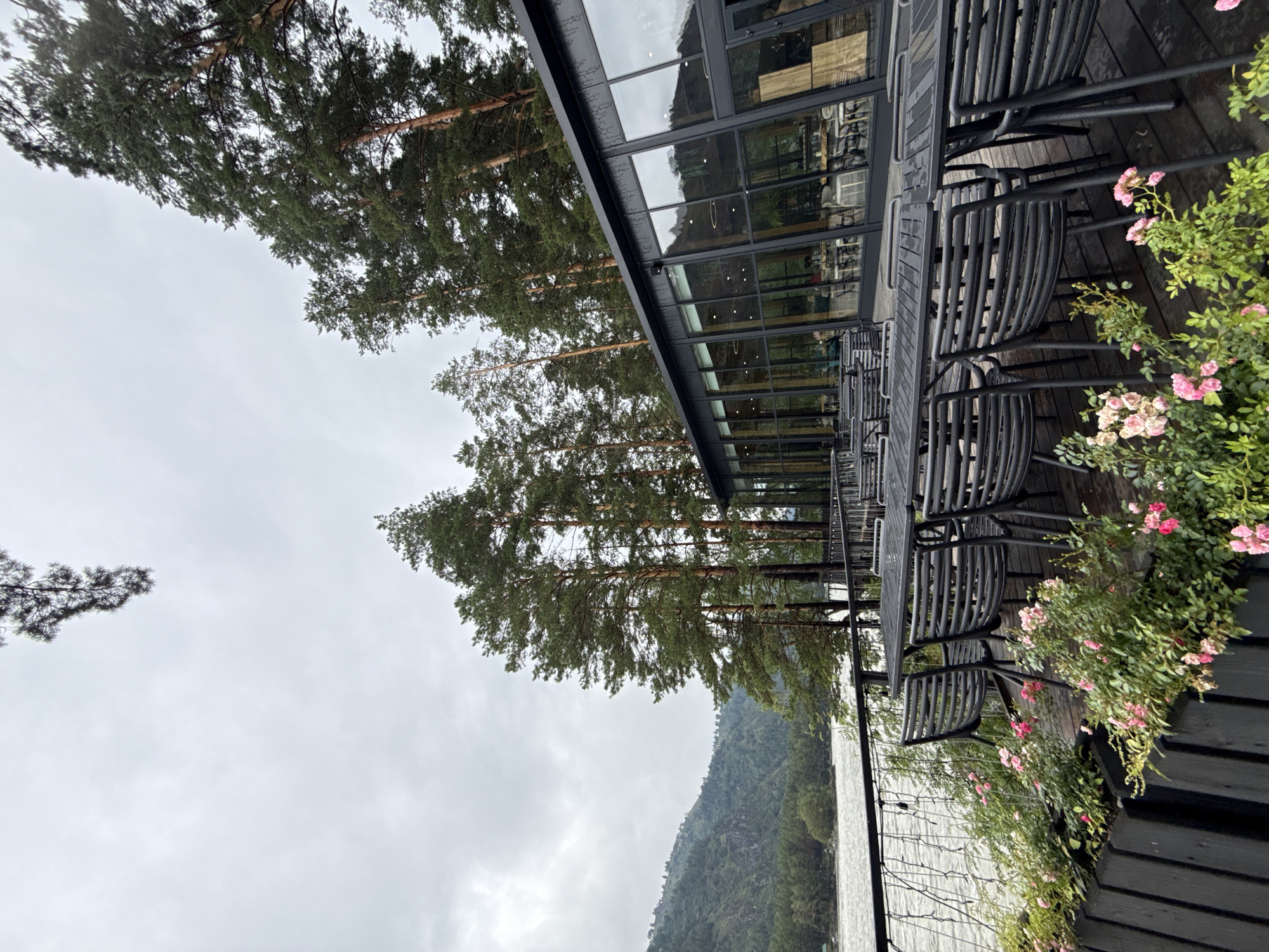 This image depicts an outdoor seating area of a restaurant situated beside a river in Nizhnekayancha, Russia. The seating area features dark-colored tables and chairs arranged on a wooden deck. In the foreground, there are planters filled with blooming pink roses and greenery.
Behind the seating area, a modern building with large glass windows is visible, reflecting the surrounding trees and sky. Tall pine trees dominate the background, with a lush, forested hillside rising from the river on the left side of the frame. The river itself appears wide and fast-flowing, with a slightly overcast sky overhead. There are no visible people in the scene.