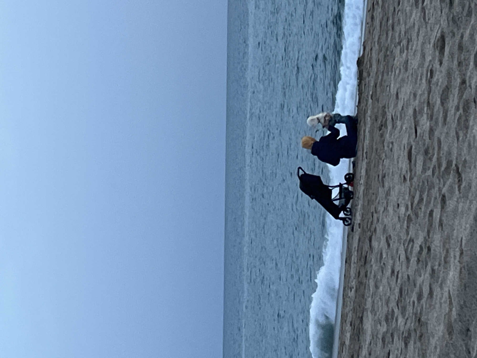 The image shows a beach scene with a gray sky and calm, gray water. On the right side of the frame, there's a stretch of sandy beach. Near the water's edge, a person with blonde hair wearing a navy jacket and jeans is bending over, seemingly interacting with a small white dog. Beside them is a black stroller. The image does not provide any evidence of the location being Alanya, Turkey.
