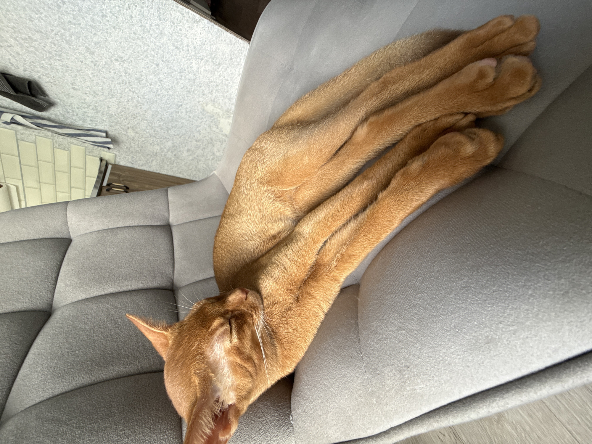 An orange cat is sleeping on a grey fabric chair in a room. The cat is curled up with its eyes closed and its paws resting in front of it. The chair has a tufted backrest. In the background, a wall with white subway tiles is visible, along with a wooden cabinet and some hanging towels. The flooring appears to be wood laminate. The scene is lit by natural sunlight, casting a shadow on the cat's body. The image does not contain any identifiable landmarks or features that would indicate its specific location within Stary Oskol, Russia.