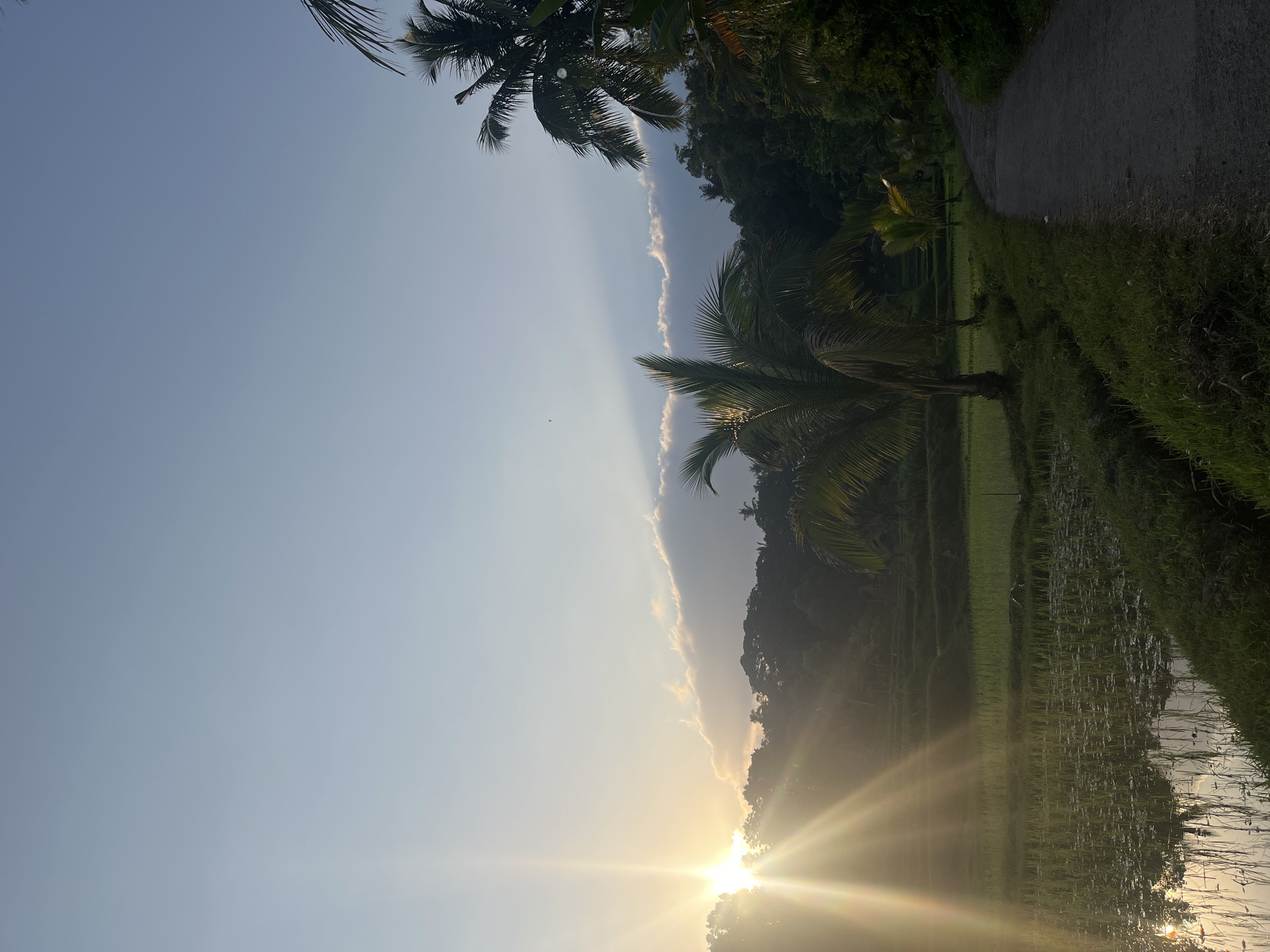 The image depicts a scenic view of rice paddies and lush vegetation under a clear sky with scattered clouds, illuminated by the golden light of a setting sun. A narrow, unpaved road runs along the right side of the frame, bordered by grassy areas and several palm trees. In the distance, tiered rice terraces are visible, suggesting an agricultural landscape. The setting sun casts long rays of light, creating a warm and tranquil atmosphere. The scene is devoid of any people or animals. The location is identified as Tetebatu, Indonesia, a region known for its natural beauty and agricultural heritage.