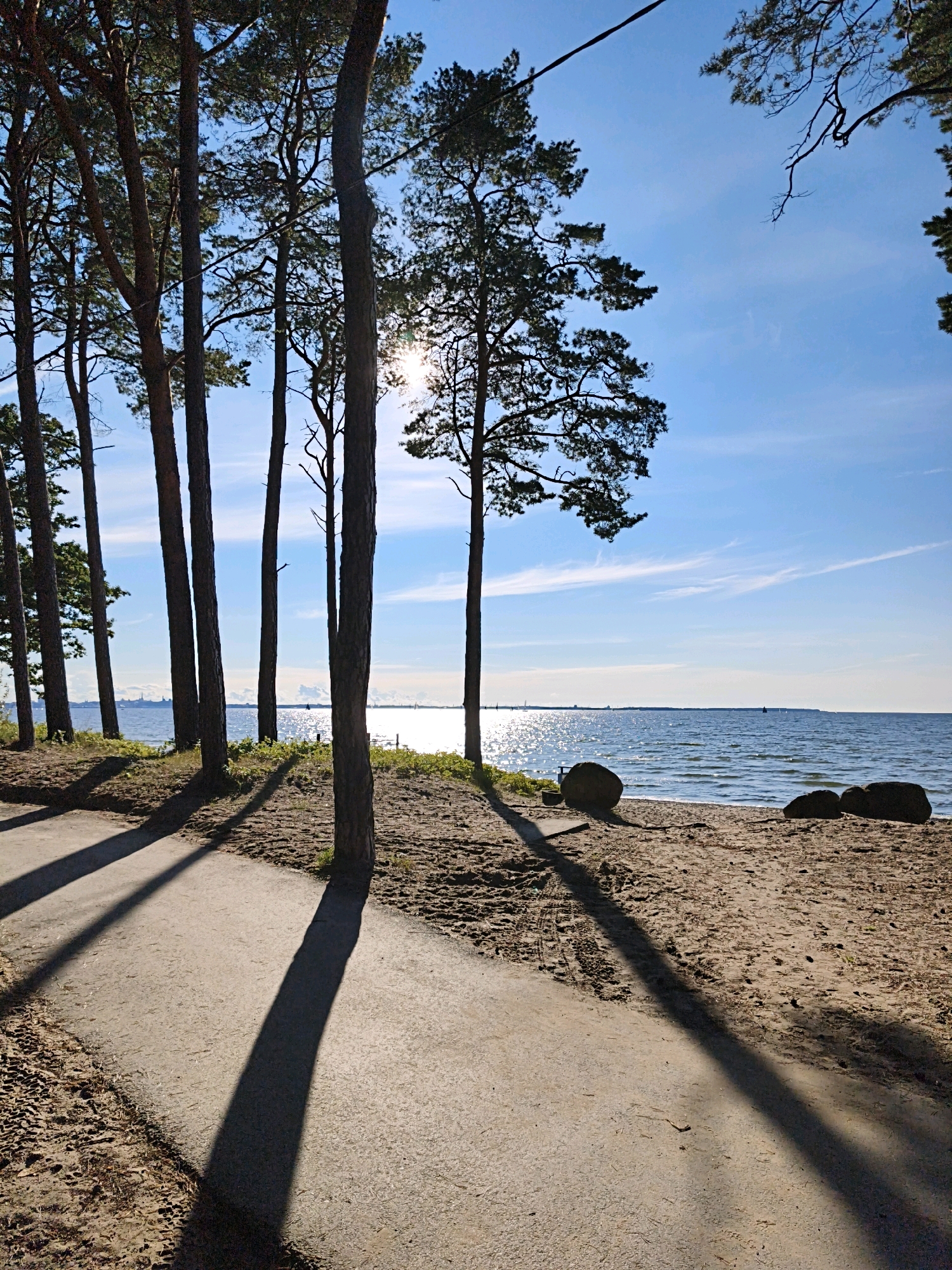 A paved pathway runs diagonally from the lower left to the upper right of the frame, bordered by a sandy beach on the right and trees on the left. The pathway is shaded by long, dark shadows cast by several tall, slender pine trees. The beach is covered in sand and a few large, dark rocks are scattered near the water's edge. The sea stretches to the horizon, reflecting the bright sunlight. The sky is a clear blue with a few wispy white clouds. In the distance, across the water, a city skyline is visible, suggesting this scene is near the city of Tallinn, Estonia. The sun is shining brightly, with its rays filtering through the branches of the trees, creating a dappled light effect. There are no people visible in the image.