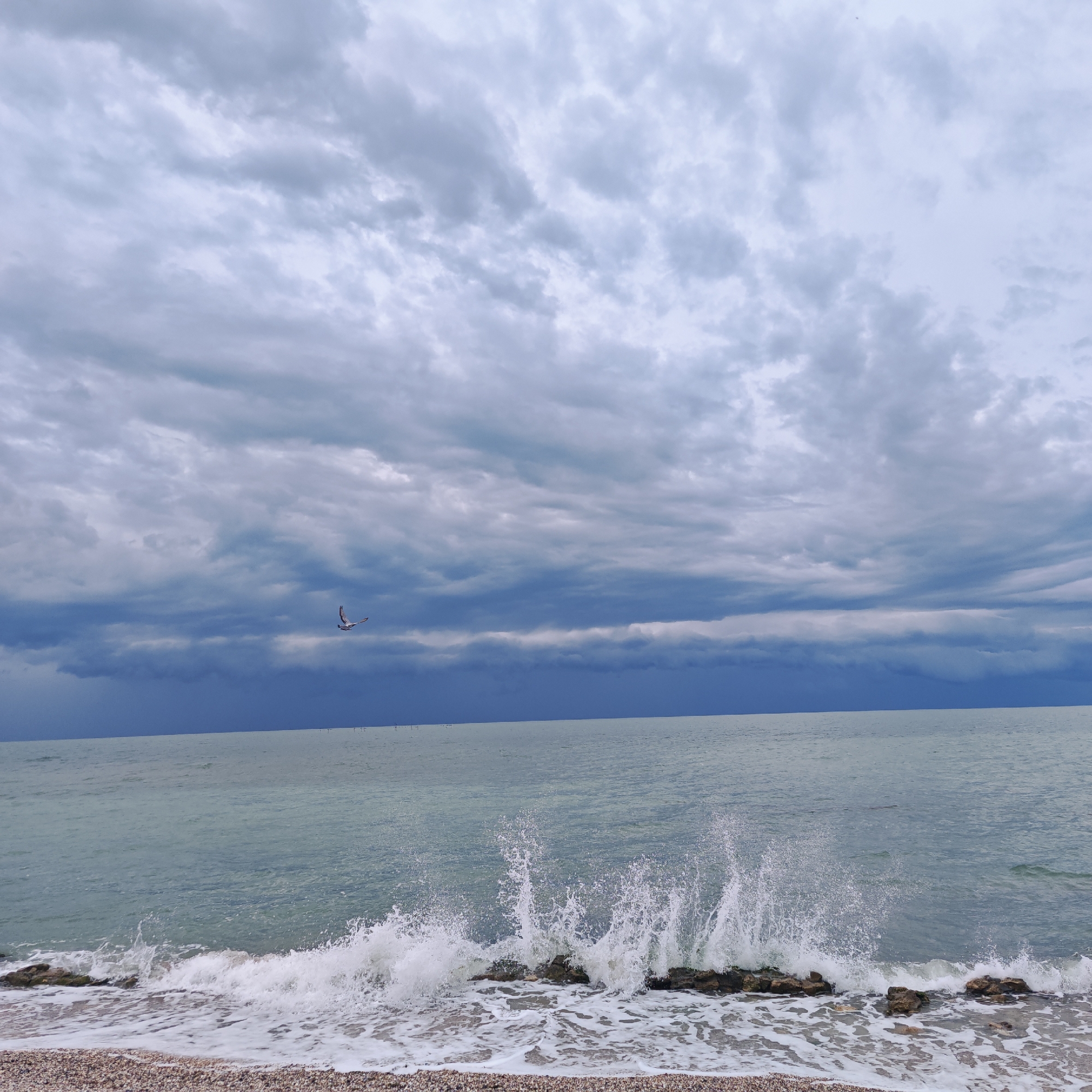 The image shows a beach scene in городское поселение Щелкино, Ukraine, under a cloudy, ominous sky. The sky is dominated by gray and blue storm clouds. A lone seagull flies in the distance between the clouds and the horizon. The sea is calm in the distance, transitioning to choppy waves nearer to the shore. The waves are crashing against rocks at the shoreline, creating a splash of white foam. The beach itself is composed of small pebbles and sand.