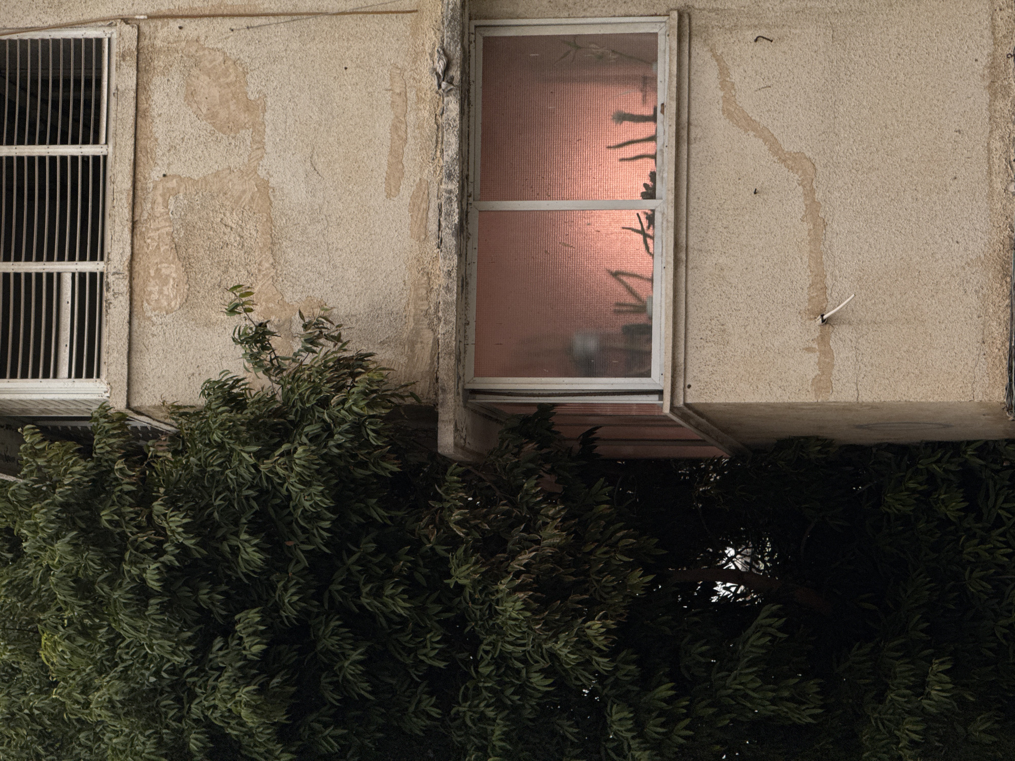 A low-angle medium shot depicts the exterior of a building in Tel-Aviv, Israel. Two windows are visible: one with vertical metal bars, the other with a white frame and a pink screen. The building's facade is textured, with apparent water stains. A dense, dark green bush partially obscures the lower portion of the building. The lighting suggests either dusk or a shaded area.