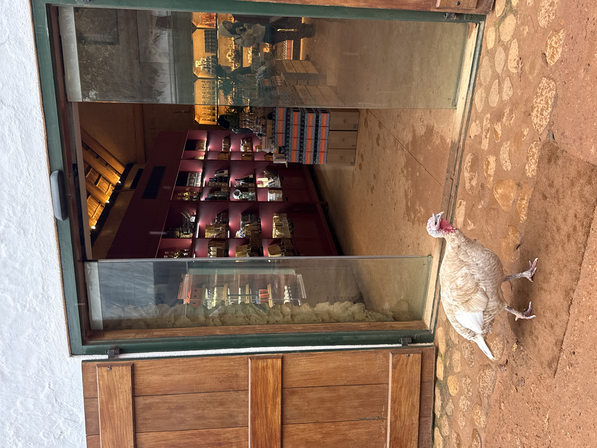 A white turkey stands on a red, cobbled surface outside a building with an open door in Drakenstein Nu, South Africa. The interior of the building features a display case along the front with stacked items and shelves filled with products against a red wall. Through the open door and glass, reflections of individuals and the interior layout can be seen.