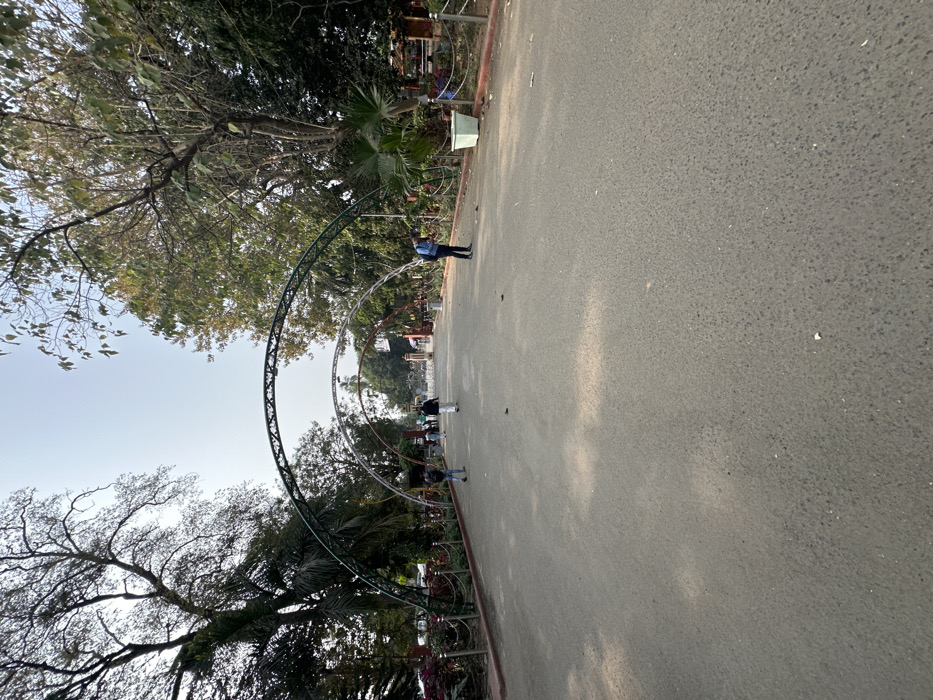 The image depicts a paved pathway extending into the distance within a park or public garden in Vadodara, India. The scene is illuminated by natural daylight under a clear, pale blue sky.
The foreground consists of a wide, dark grey asphalt pathway, which occupies the lower two-thirds of the frame. The pathway is mostly clear, with minimal scattered debris. Faint, irregular lighter patches are visible on its surface.
Along both sides of the pathway, low metal fences with chain-link sections and red-brown bases delineate the path from planted areas. These areas are densely populated with various trees and shrubs. On the left, large deciduous trees with bare branches are prominent, interspersed with some evergreen foliage. On the right, more evergreen trees with denser canopies are visible, along with palm-like plants and a light-colored, square planter near the mid-ground.
Three prominent archways span the pathway, receding into the background. The closest archway is dark green metal, followed by two lighter-colored metal archways.
Five individuals are present on the pathway. One person in dark attire, carrying a backpack, walks away from the camera on the left side, past the first archway. Another person in light-colored clothing walks centrally on the path, near the second archway. On the right, a person in a blue shirt and dark pants stands, looking downwards, between the first and second archways. Two additional individuals are distantly visible near the background, moving towards the main park entrance.
The background reveals an ornate, possibly golden-colored gate structure, marking a further entrance point into the park, framed by more trees and foliage.