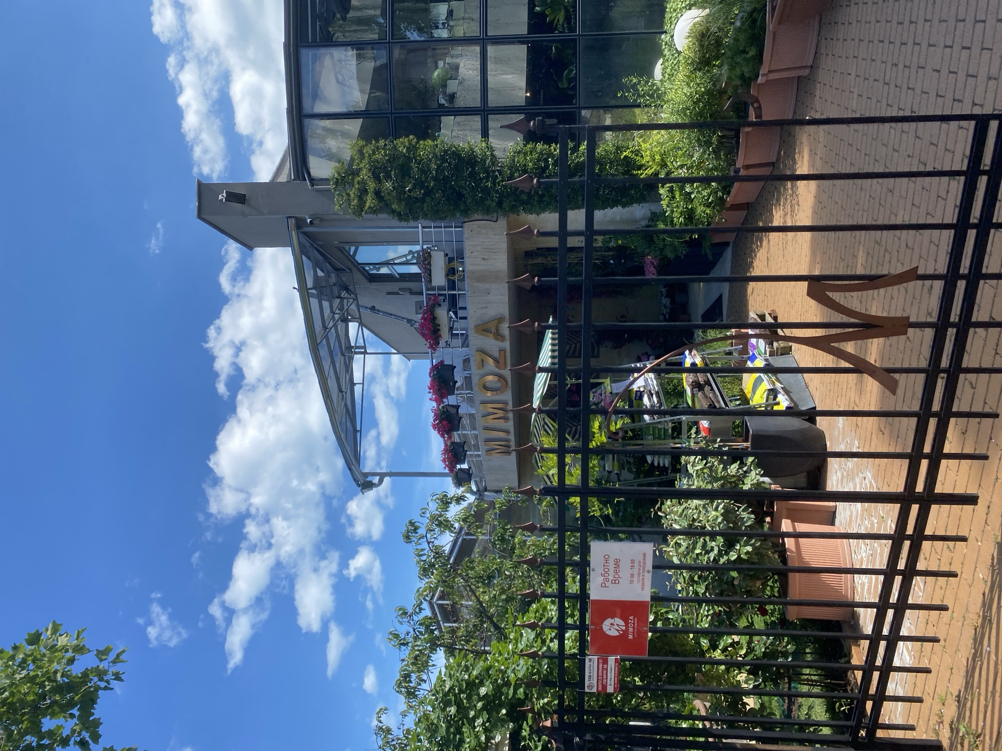 The image shows the exterior of a building with a glass facade and a black metal fence in the foreground. The building appears to be a shop or restaurant, with plants and flowers displayed outside. There is a sign on the fence that reads "MIMOZA" in large gold letters. Below this, a red sign with white text states "Работно Време 10:00 - 19:00" which translates to "Working Hours 10:00 - 19:00". Another sign below that has a logo and text. The sky is blue with white clouds, indicating it is daytime and likely a pleasant day. The scene appears to be set in a public area, possibly a street or walkway, given the presence of the fence and paving stones. No people are visible in the image. The overall impression is a well-maintained commercial establishment on a sunny day.