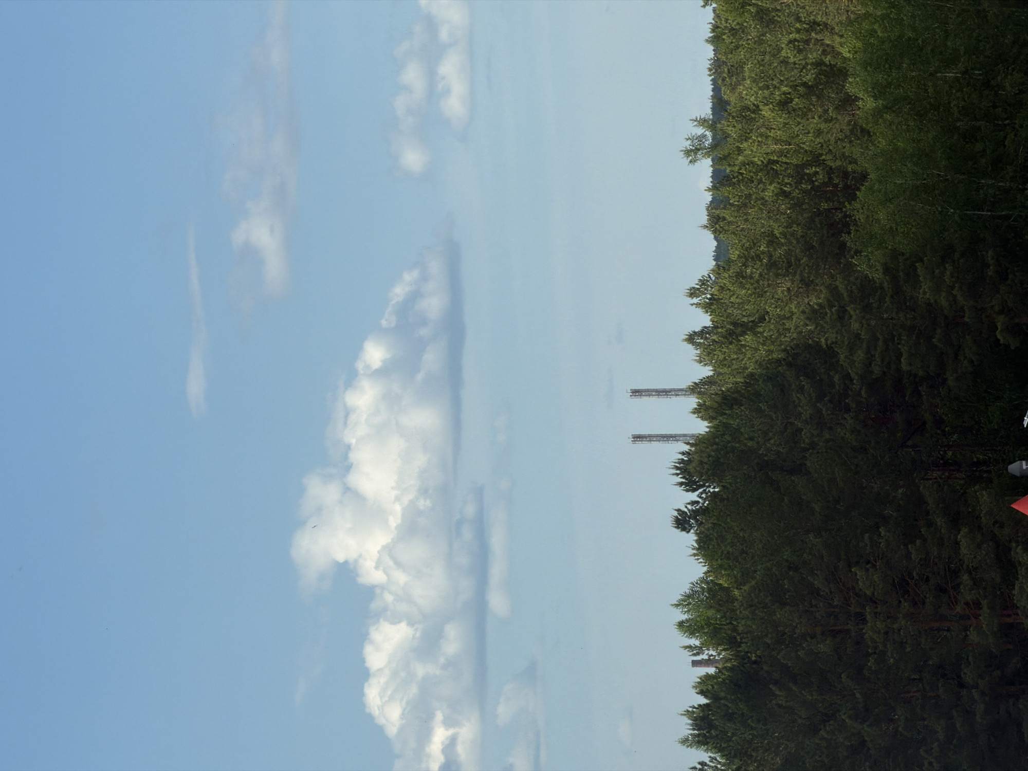 The image depicts a wide shot of a dense forest under a bright blue sky with scattered white clouds. In the distance, silhouetted against the sky, are two tall, industrial-looking towers, likely telecommunication or industrial stacks, positioned on the horizon above the tree line. The forest appears to be composed of coniferous trees, with a mix of dark green and lighter green foliage. The overall scene suggests an outdoor, natural environment on a clear day. The location is identified as Tsiolkovsky, Russia.