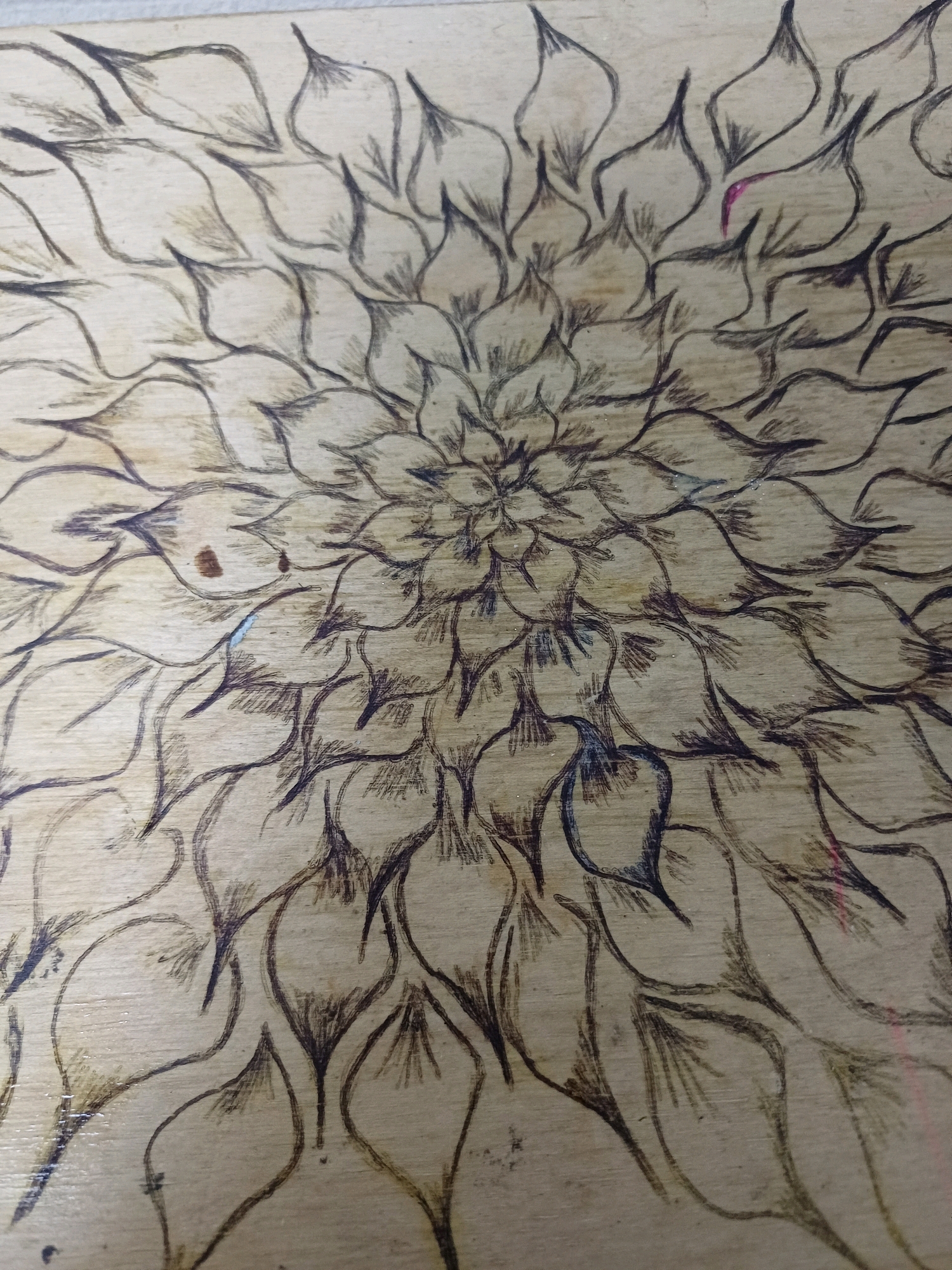 The image is a close-up, overhead shot of a wood surface with a pyrographic design of a flower. The flower appears to be a dahlia or chrysanthemum, with numerous overlapping petals radiating outwards from a central point. The lines are drawn in black and shades of brown, with some areas appearing slightly burnt or darkened, characteristic of wood burning. There are also a few small, colorful marks, including a smudge of pink and a small patch of blue. The wood grain is visible beneath the drawing, adding texture to the image. The image does not provide any information about a specific location in the city of Kyiv, Ukraine.