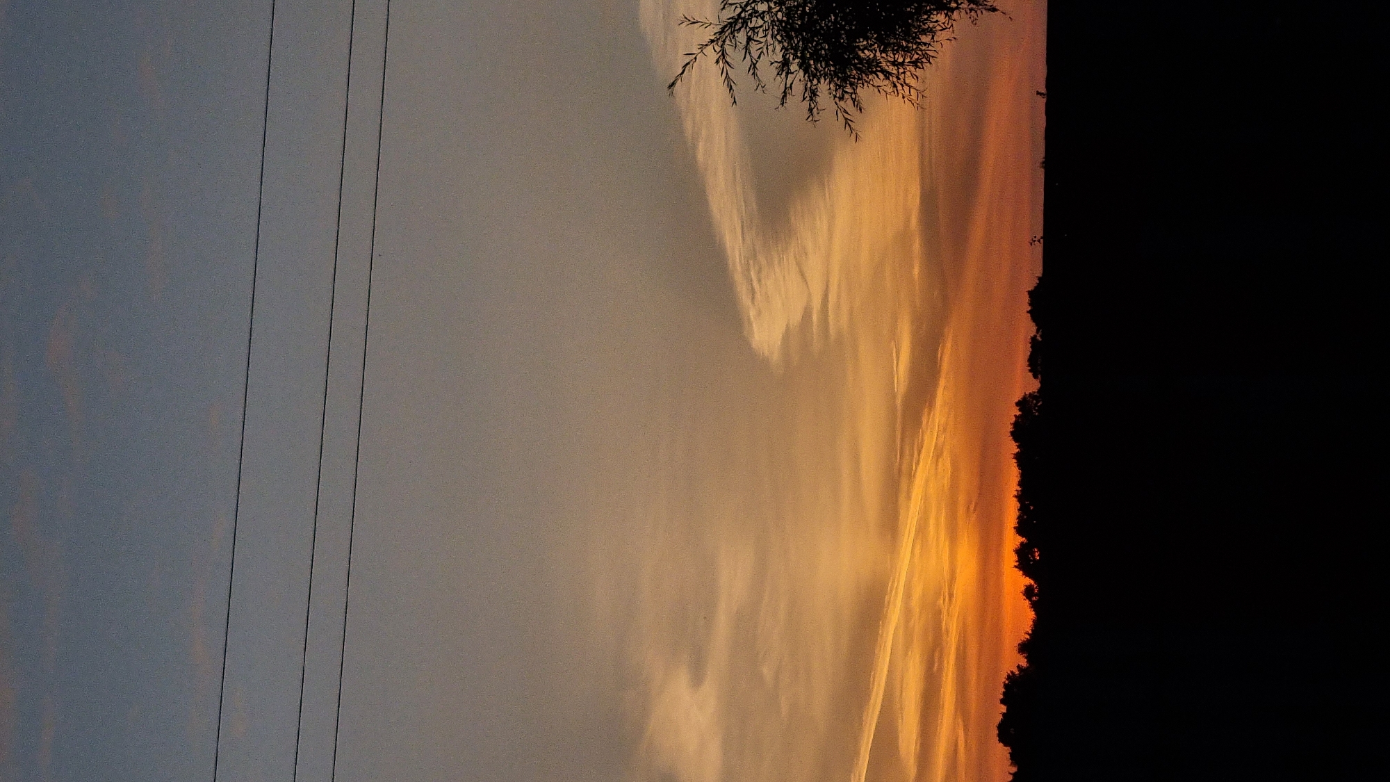 The image captures a silhouetted landscape against a vibrant sunset. Three power lines traverse the upper portion of the frame, stretching horizontally across a gradient sky that transitions from a pale blue at the top to warm oranges and yellows near the horizon. A line of dark trees forms a sharp silhouette against the colorful sky. To the right, the branches of a solitary tree, also in silhouette, extend into the frame from the edge. The foreground is entirely black, suggesting a dark ground or field. The scene appears to be located in Vysokoe, Russia, though this cannot be confirmed visually from the image alone. There are no people or identifiable subjects in the image.