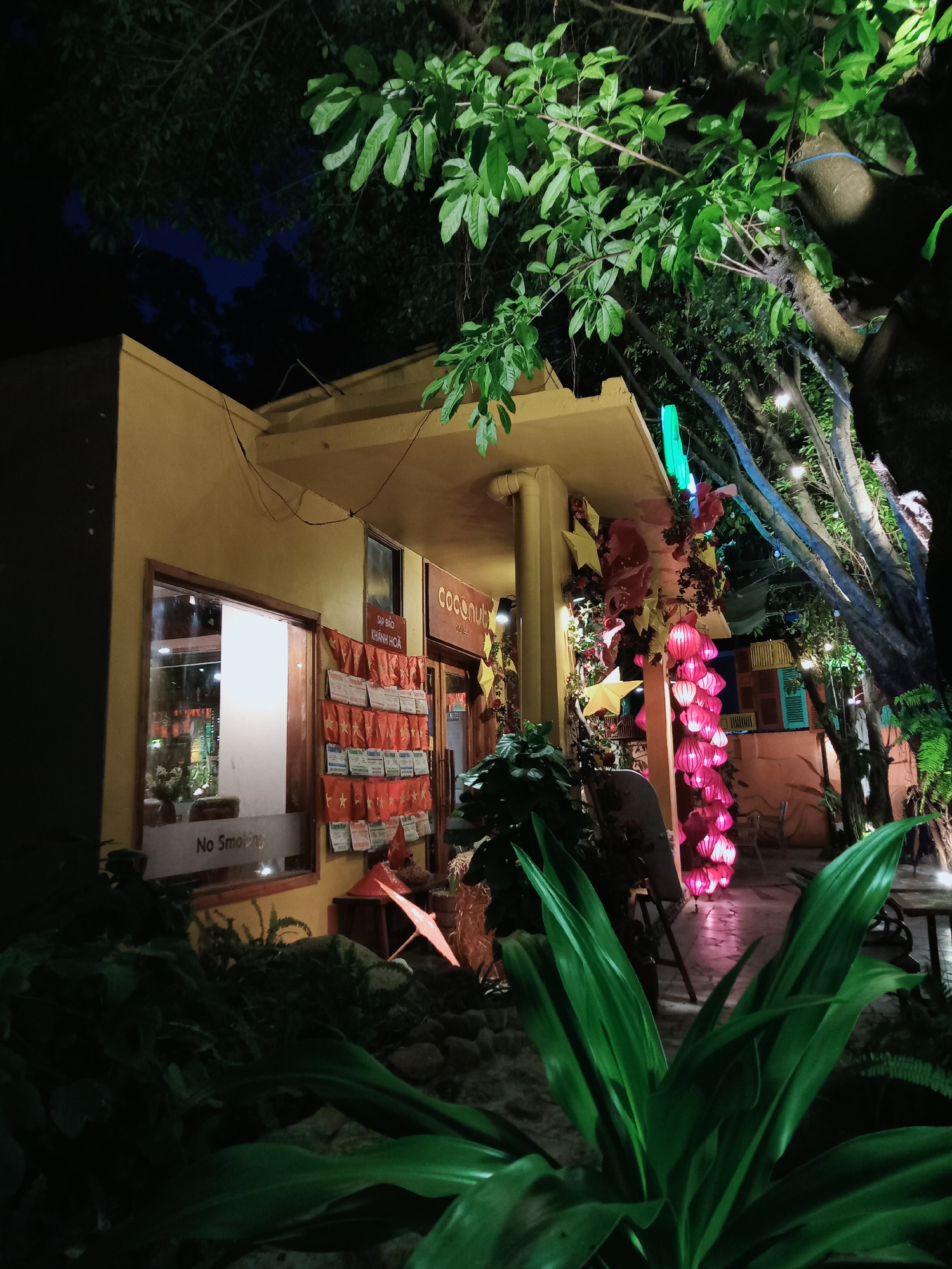 The image captures the exterior of a building, likely a cafe or restaurant named "Coconut," at night in Nha Trang, Vietnam. The building features a warm, light yellow facade with an awning.
On the left side of the building, a large window displays a brightly lit interior, with the words "No Smoking" visible on its lower pane. Adjacent to the window, a section of the wall is decorated with multiple small red flags, each featuring a yellow star, resembling the national flag of Vietnam. Above these flags, a sign reads "SÁP BÁO KHÁNH HOÀ." The word "COCONUT" is prominently displayed above what appears to be the main entrance.
The scene is adorned with various decorative lights and elements. A long string of glowing pink lanterns, possibly made of paper or silk, hangs vertically from the building's awning on the right. Yellow star-shaped decorations are also visible on the facade. Overhead, lush green trees with dense foliage frame the top and right side of the image, illuminated by green and blue lights, as well as string lights with small bulbs, creating a festive ambiance.
In the foreground, large, dark green leaves of various plants contribute to a rich, verdant setting. Through the illuminated trees and decor on the right, an outdoor seating area with tables and chairs can be glimpsed. The overall atmosphere is inviting, cozy, and vibrant, characteristic of an evening establishment in a tropical setting. No people are visible, but the setup suggests a place for relaxation or dining.