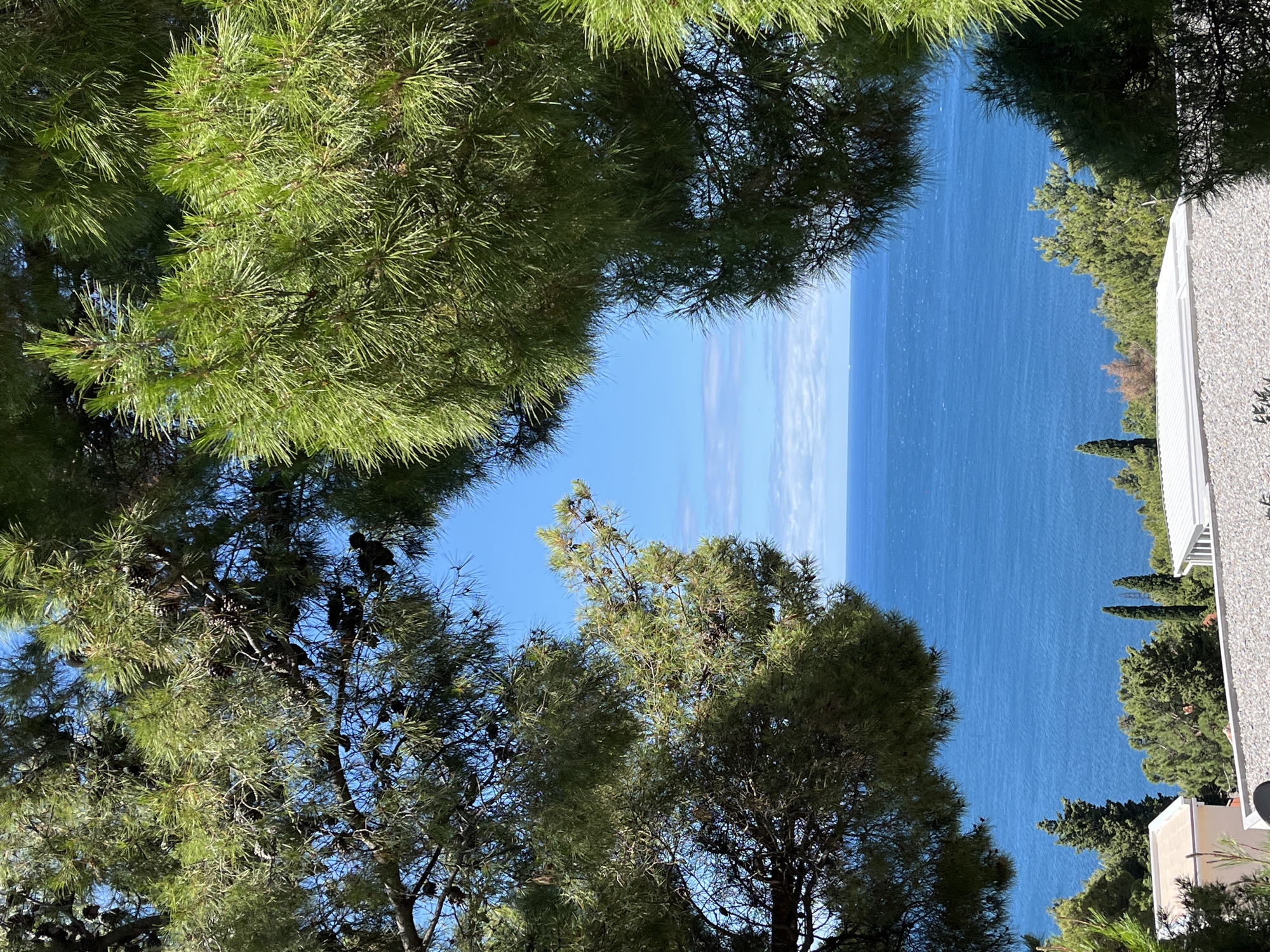 The image depicts a framed view of the Adriatic Sea from a vantage point in Šušanj, Montenegro. Dense, green pine trees with visible pinecones frame the foreground, creating a natural aperture through which the sea and sky are visible. The sea is a vibrant blue, with subtle ripples suggesting a light breeze. The horizon line is clear, with a pale blue sky above, dotted with a few scattered white clouds.
Below the sea and sky, a strip of coastline is visible, characterized by lush green vegetation, including various trees and some cypress-like evergreens. Two buildings with white roofs are partially visible amongst the trees, suggesting residential or holiday structures. The closest building on the left has a cream-colored facade. The foreground features a textured grey surface, possibly a rooftop or paved area, with a dark circular object, perhaps a satellite dish, visible on it.
The scene is bathed in bright sunlight, casting distinct shadows and highlighting the textures of the pine needles and tree bark. No people are present in the image. The overall impression is one of a serene, sun-drenched coastal landscape.