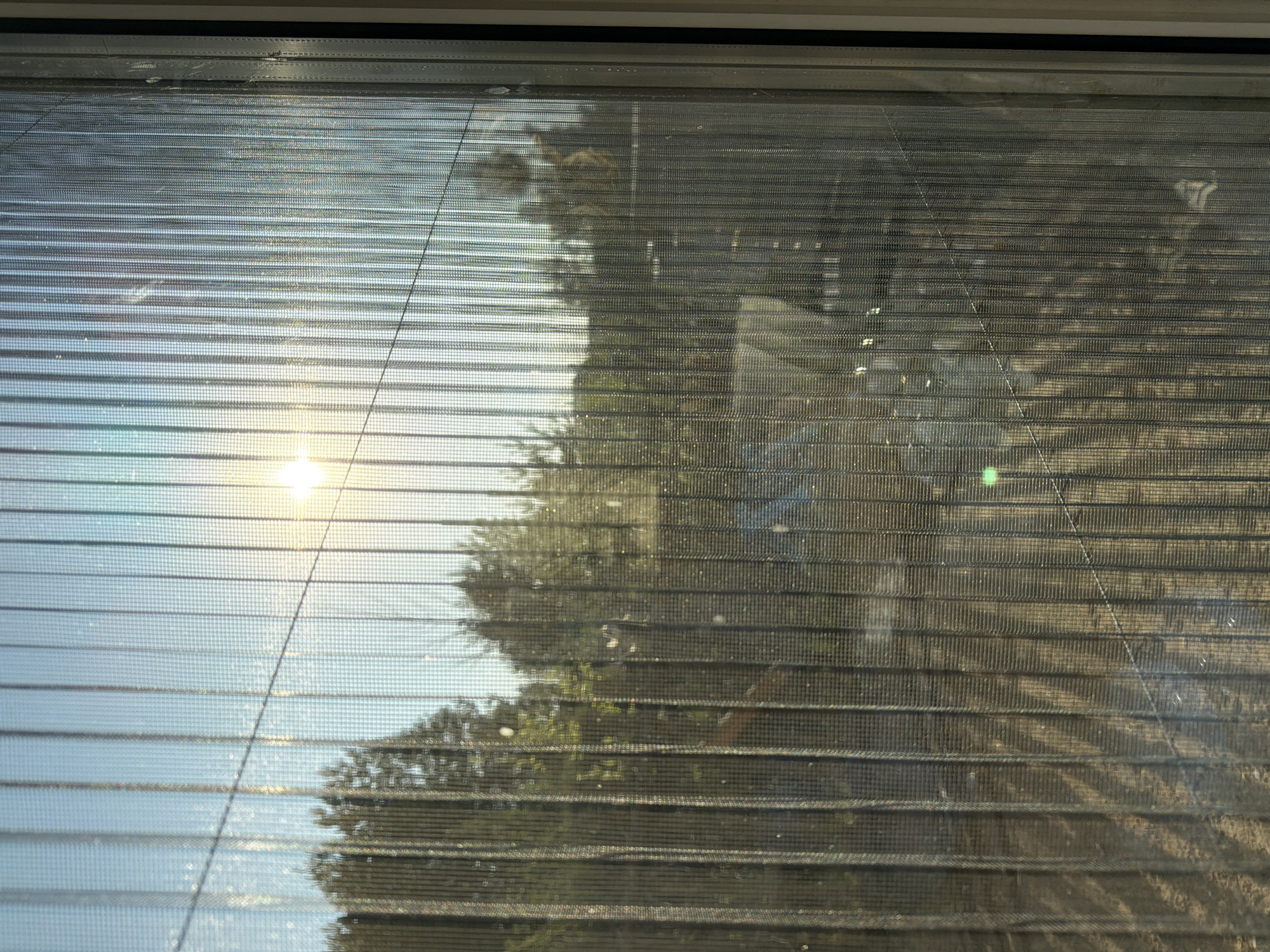 The image shows a view through a window with closed blinds. The outside scene includes trees and a bright light source, presumably the sun. Due to the view being partially obscured by the blinds and the lack of specific landmarks, it is impossible to definitively place the location within the city of Chaikovsky, Russia. More information about nearby landmarks would be necessary to determine the exact location.