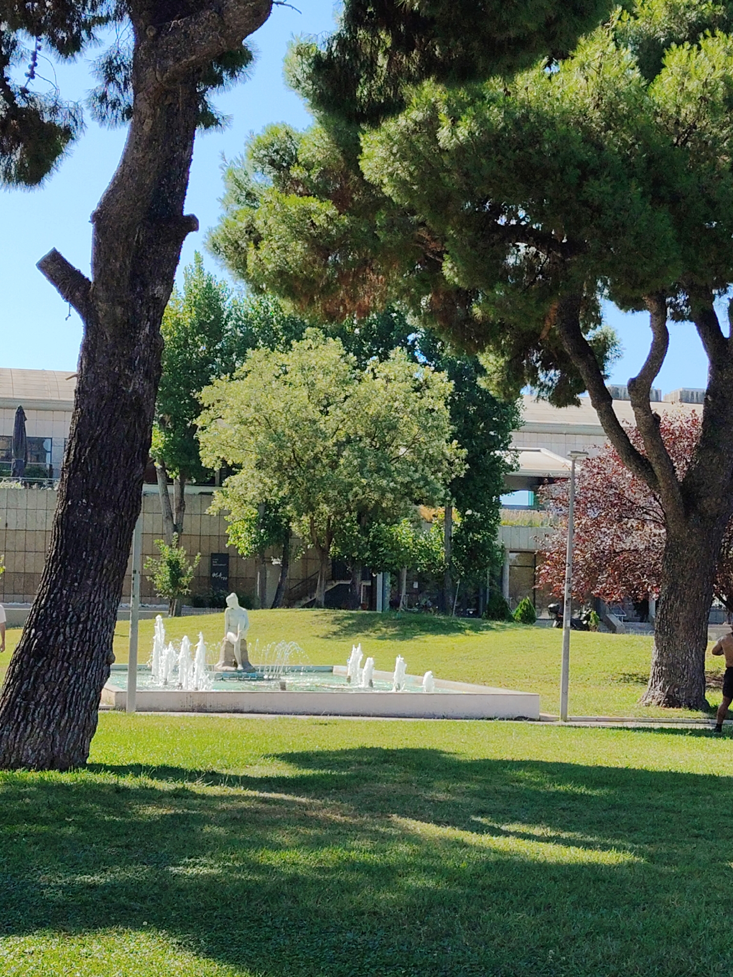 The image shows a park scene with a fountain in the foreground and trees and buildings in the background. The fountain has several jets of water and a statue of a person sitting on a rock. The trees are tall and leafy, with one on the left side of the image having a thick, gnarled trunk. In the background, there are several buildings, one of which appears to be a modern structure with glass windows. The park is well-maintained with green grass. The sky is clear and blue. The scene is located in the city of Thessaloniki, Greece.