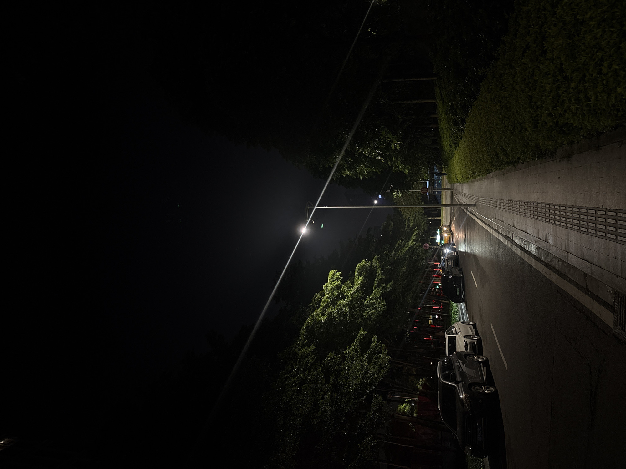 This image depicts a nighttime street scene in Haizhu District, China. The perspective is from a low angle, looking down a paved sidewalk that runs alongside a street. The time of day is clearly night, as indicated by the darkness and the streetlights illuminating the scene. Lush green hedges line the right side of the sidewalk, creating a natural barrier.
Several cars are parked along the side of the street, their headlights and taillights reflecting off the wet asphalt, suggesting recent rain or damp conditions. A prominent streetlamp shines a bright beam diagonally across the scene, cutting through the darkness and casting long shadows. Trees with dense foliage are visible on the left side of the street, their leaves catching the artificial light.
The overall mood is quiet and peaceful, typical of a late-night urban environment. No people are visible in the image. Some text is visible on the license plate of the closest car, appearing to be "粤S6790" in Chinese characters and numbers. The scene appears to be a residential or commercial street, given the parked cars and manicured hedges.