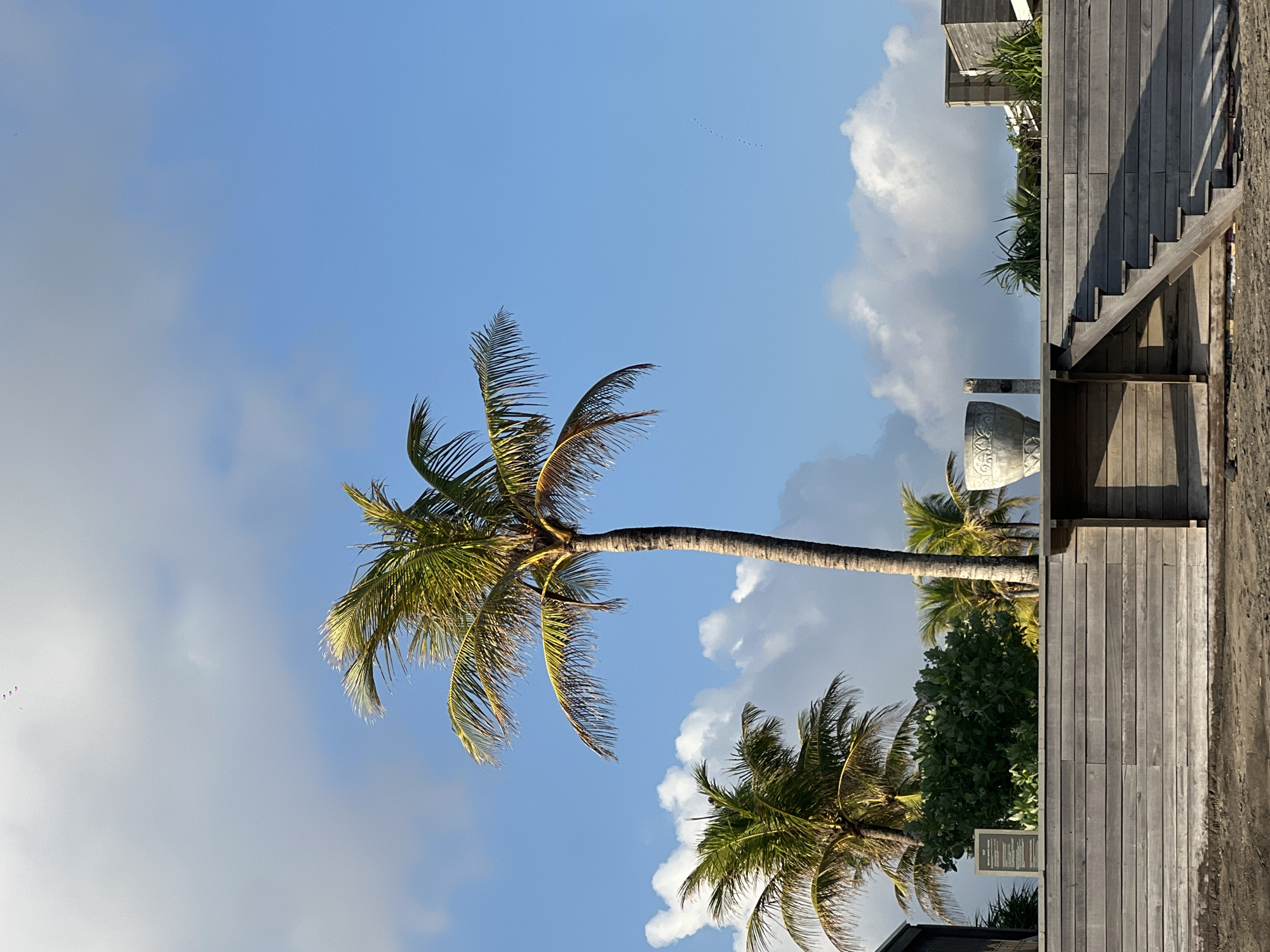 A horizontally-oriented medium shot depicts a beach scene in North Kuta, Indonesia. A tall, slender palm tree with green and brown fronds dominates the left side of the frame. The tree's trunk extends diagonally from the bottom left towards the upper right. In the background, a blue sky is interspersed with white, puffy clouds. A second, smaller palm tree with lush green foliage is visible behind the main tree.
To the right of the frame, a weathered wooden structure with visible planks forms a vertical barrier. Stairs ascend upwards along the structure. A decorative stone urn sits on a wooden post in the scene.