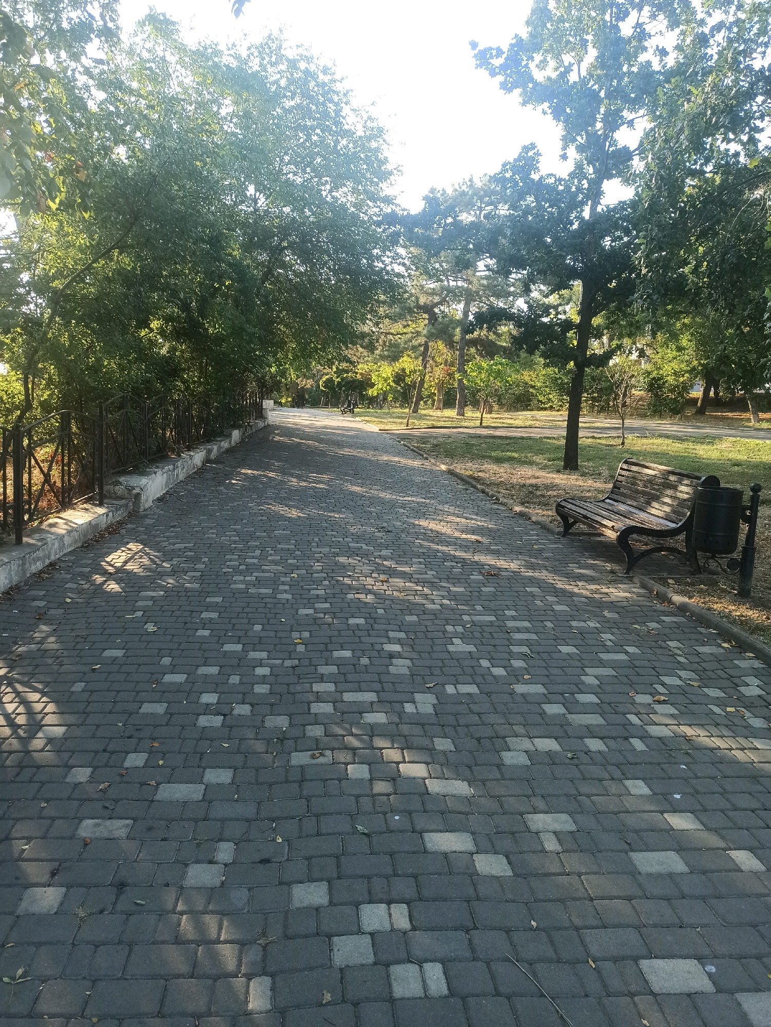 The image depicts a paved pathway in a park-like setting, likely in Odesa, Ukraine, given the prompt's context. The pathway is constructed from grey interlocking pavers with a mixed pattern of rectangles and squares. Sunlight casts dappled shadows across the path, suggesting it is either early morning or late afternoon.
To the left of the pathway, a low, dark metal fence with vertical posts and horizontal bars runs along a raised concrete border. Behind the fence, lush green trees and foliage create a dense, leafy barrier.
To the right of the pathway, a weathered wooden park bench with a dark metal frame sits on the grass. Next to the bench is a black metal trash receptacle mounted on a post. Beyond the bench, the park continues with grassy areas, scattered trees, and a winding path visible in the distance. The overall impression is of a tranquil, well-maintained public space. There are no people visible in the image.