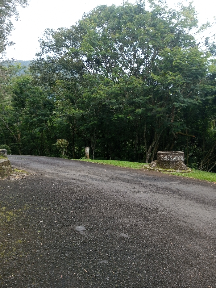 A paved road winds through a lush, green landscape. Towering trees with dense foliage dominate the background, creating a sense of depth. A tree stump, painted with the words "Bak Sampah," sits to the side of the road. Other concrete structure also sits on the side of the road along the trees. The road surface appears damp, adding a reflective quality to the scene. The overall atmosphere is tranquil and serene, indicative of a rural or park setting.