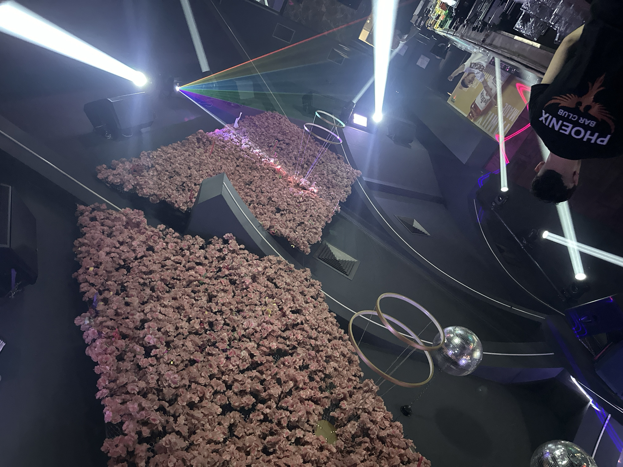 This image captures the vibrant interior of a bar or nightclub, likely in Sliven, Bulgaria, during the evening or nighttime hours. The scene is viewed from a tilted upward perspective, showcasing elaborate decorations and dynamic lighting.
Dominating the lower and central parts of the image are extensive arrangements of artificial pink flowers, possibly cherry blossoms, covering large sections of the walls or ceiling, creating a dense, lush effect. The venue is brightly lit by several powerful white spotlights, casting sharp beams across the dark space. A laser projector also emits a striking rainbow-colored beam that slices through the air above the floral decor.
Suspended from the ceiling are multiple decorative rings or hoops, adding to the club's aesthetic. Two silver disco balls are visible, with one prominently reflecting light and contributing to the festive atmosphere, while another is partially seen. Speakers or sound equipment are mounted on the walls.
In the upper right quadrant, a person is visible from behind, wearing a black t-shirt that clearly displays "PHOENIX BAR CLUB" in white lettering, along with a distinct phoenix logo. Their head is also visible. In the background, hints of a bar area can be seen, and a large vertical poster or screen features an image of a person and partially visible text that appears to include "MADE." The overall ambiance, with its specialized lighting, floral installations, and club branding, suggests an energetic and engaging entertainment environment.