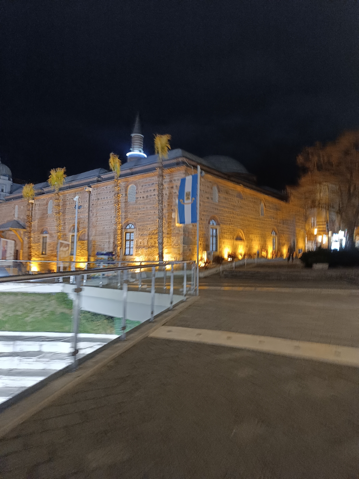 An exterior night view depicts the Dzhumaya Mosque in Plovdiv, Bulgaria, under a dark sky. The mosque's facade is constructed from tan-colored, irregularly cut stone blocks and features multiple arched windows. Warm yellow uplights are positioned along the base of the building, illuminating the stonework. A slender, pointed spire, consistent with a minaret, rises from the roofline, accented by a blue illuminated ring near its base. Several tall, unbranched palm trees are evenly spaced along the building's front. To the left, a blue and white flag with a central emblem, resembling a coat of arms, is displayed on a pole.
In the foreground, a wide, dark paved pedestrian area extends towards the right. This area is bordered on the left by a modern railing composed of metal posts and transparent glass panels. Beyond this railing and at a lower elevation, a landscaped section is visible, featuring a patch of green grass and several white architectural elements, possibly steps or platforms. On the far right, blurred deciduous trees, currently bare, are present, partially illuminated by distant artificial light sources. No individuals are discernible within the frame. The image exhibits slight motion blur, indicative of a low-light photographic capture.