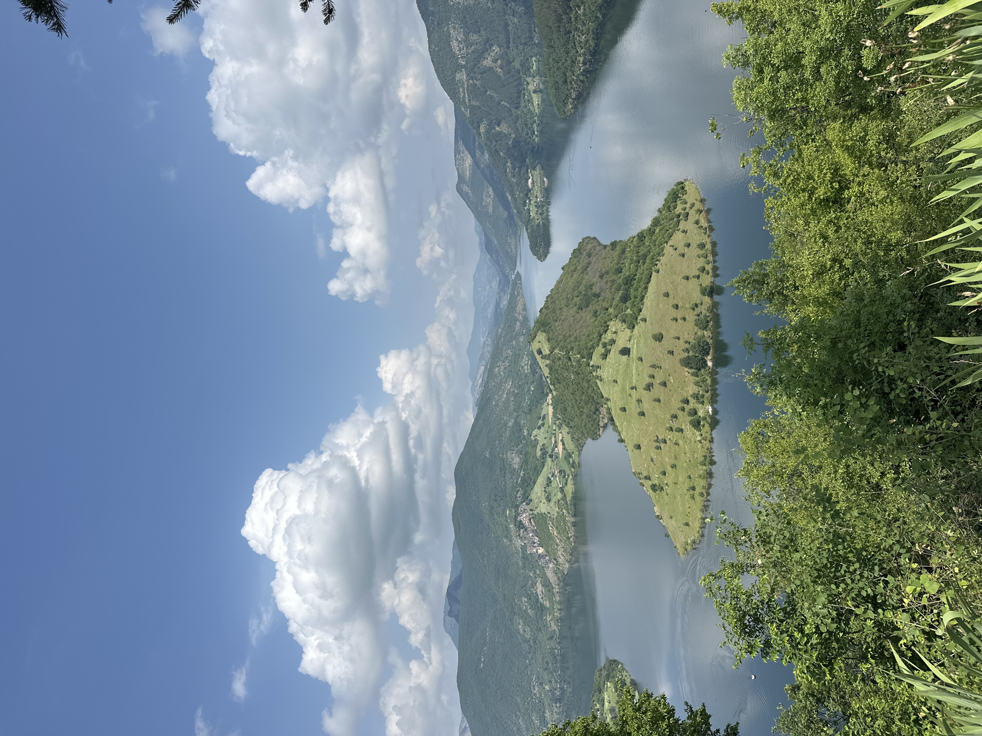 The image captures a panoramic landscape view of a vast body of water, likely a reservoir or a wide river, winding through mountainous terrain under a clear blue sky. The sky is adorned with large, fluffy white cumulus clouds.
In the foreground, on the right side of the frame, dense green foliage and tree branches partially obscure the view, suggesting the photo was taken from an elevated, vegetated vantage point. The central and left parts of the image are dominated by the serene water body, which exhibits gentle ripples on its surface. A distinctive, elongated island or peninsula, covered in vibrant green grass and scattered trees, rises from the water in the mid-ground.
Beyond this island, the water stretches into the distance, flanked by steep, heavily forested mountains that recede into a hazy horizon. Small clusters of buildings or settlements can be spotted on the distant shores, nestled against the mountains.
The scene depicts a peaceful natural environment during bright daylight, suggesting midday or early afternoon. The weather is sunny with scattered clouds. The location is Ribartsi, Bulgaria, characterized by its impressive mountainous and aquatic landscape. There are no visible people, animals, or prominent man-made objects beyond the distant settlements. No text is visible in the image.