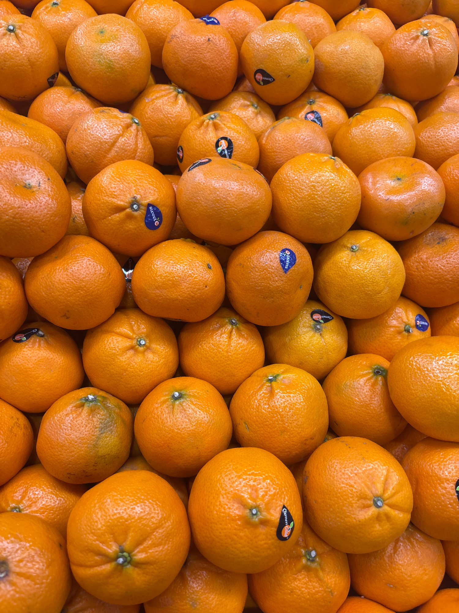 The image shows a close-up, overhead view of a large pile of bright orange tangerines, likely in a market stall in North Jakarta, Indonesia. The tangerines are tightly packed together, filling the frame. Many of the tangerines have a slightly dimpled, textured peel. Some of the fruits have small green stems or remnants of stems visible. Several of the tangerines display stickers, with some readable as "ClementGold" and others as "sweet". The lighting is bright, casting soft shadows and highlighting the vibrant color of the fruit. There are no people or other objects visible in the image. The overall impression is one of abundance and freshness.