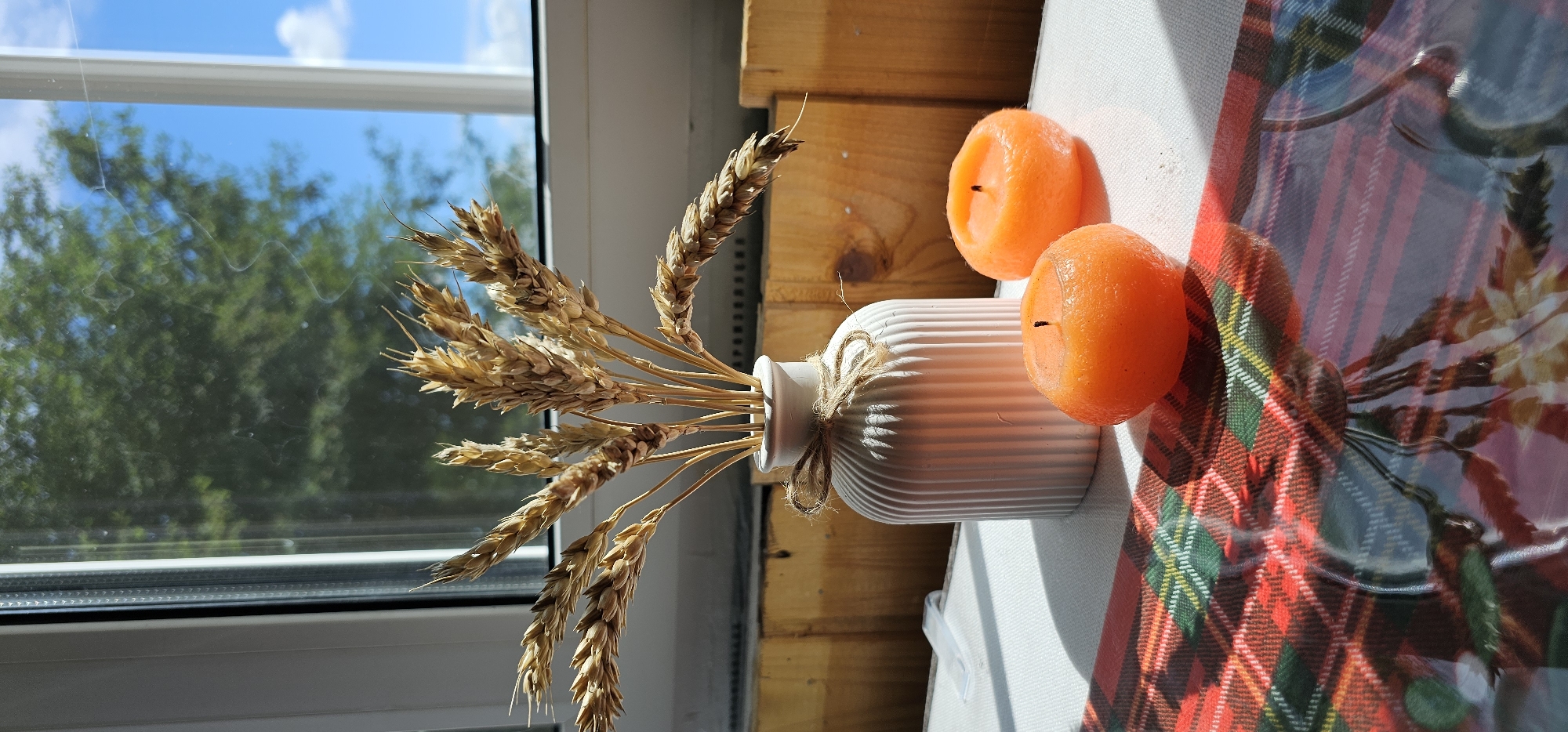 This is a medium shot, taken from a slightly high angle, of a still life arrangement by a window. The primary subjects are a white, ribbed vase filled with dried wheat stalks, two small, round, orange candles, and a red, green, and blue plaid placemat. The vase is tied with twine. The wheat stalks are fanned out, with their golden heads reaching upwards and outwards. The candles are placed on the placemat, to the right of the vase.
The background shows a window with a clear blue sky and white clouds. Lush green trees are visible through the window, suggesting an outdoor natural setting. The light indicates it is daytime, with sunlight casting shadows across the scene. The overall mood is peaceful and rustic, evoking a sense of autumn or harvest. The objects are arranged on what appears to be a white tablecloth or surface. No people or text are visible. The location context is Тихоново Снт, Russia, which is consistent with the greenery seen outside the window.