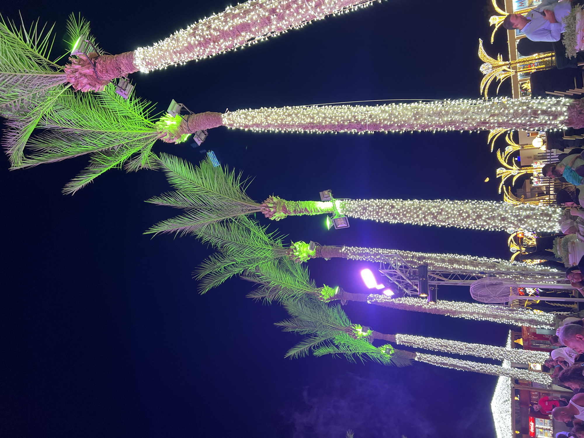 At night in Sharm El Sheikh, Egypt, a row of palm trees stands tall, their trunks wrapped in strings of white lights, creating a festive and illuminated atmosphere. The fronds of some of the palm trees are bathed in vibrant green light, adding a tropical glow to the scene. In the background, more palm trees, decorated with yellow lights, form a luminous canopy, suggesting a lively public space or entertainment area. A few individuals are visible in the foreground, appearing to be seated and enjoying the ambiance. In the far left, a Coca-Cola sign is visible on a building, indicating a commercial establishment. The dark night sky serves as a backdrop, making the illuminated decorations stand out even more prominently.