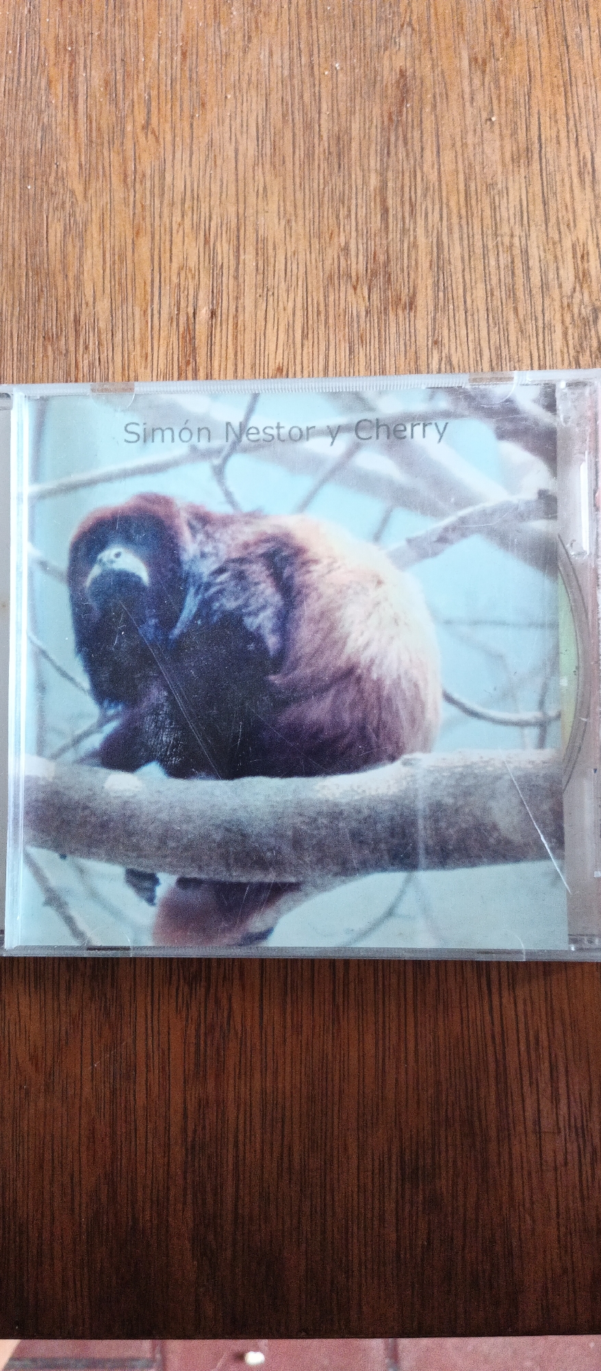 This is a CD cover featuring a photograph of a red howler monkey perched on a tree branch. The monkey is dark brown with a lighter colored face and is looking towards the viewer. The background is a soft blue, suggesting a bright, possibly daytime sky. The CD case itself is clear plastic and is resting on a wooden surface with a visible grain pattern.
Visible text on the cover reads "Simón Nestor y Cherry". The name suggests a musical album or compilation. The image quality is somewhat grainy, indicating it may be an older photograph or a lower-resolution scan. There are some visible scratches on the plastic surface of the CD case, common for used items. The overall presentation is simple, focusing on the animal and the artist's name. Given the location context of La Tagua, Venezuela, it is plausible that the album has a connection to local music or artists from that region, and the howler monkey is a representative of the local fauna.