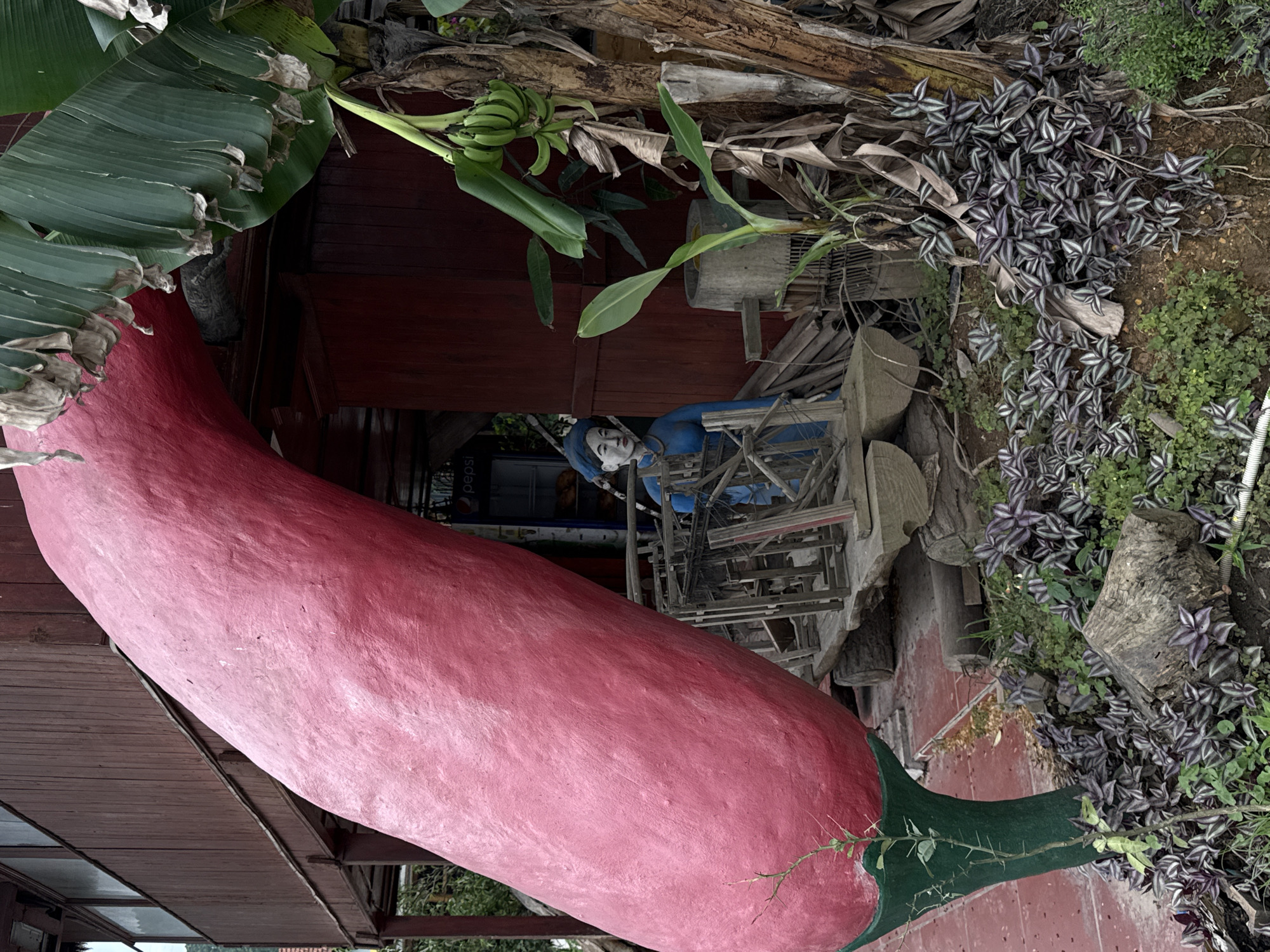 A roadside scene in Mai Sao, Vietnam, features a giant pink pepper sculpture. The pepper, with a green stem, leans against a red wooden building with windows. Behind the sculpture are assorted objects: a banana tree with green bananas, a figure wearing blue, wooden scaffolding, a beverage cooler marked with “Pepsi,” logs, and potted plants with purple and green leaves. The setting appears to be outdoors with natural greenery.