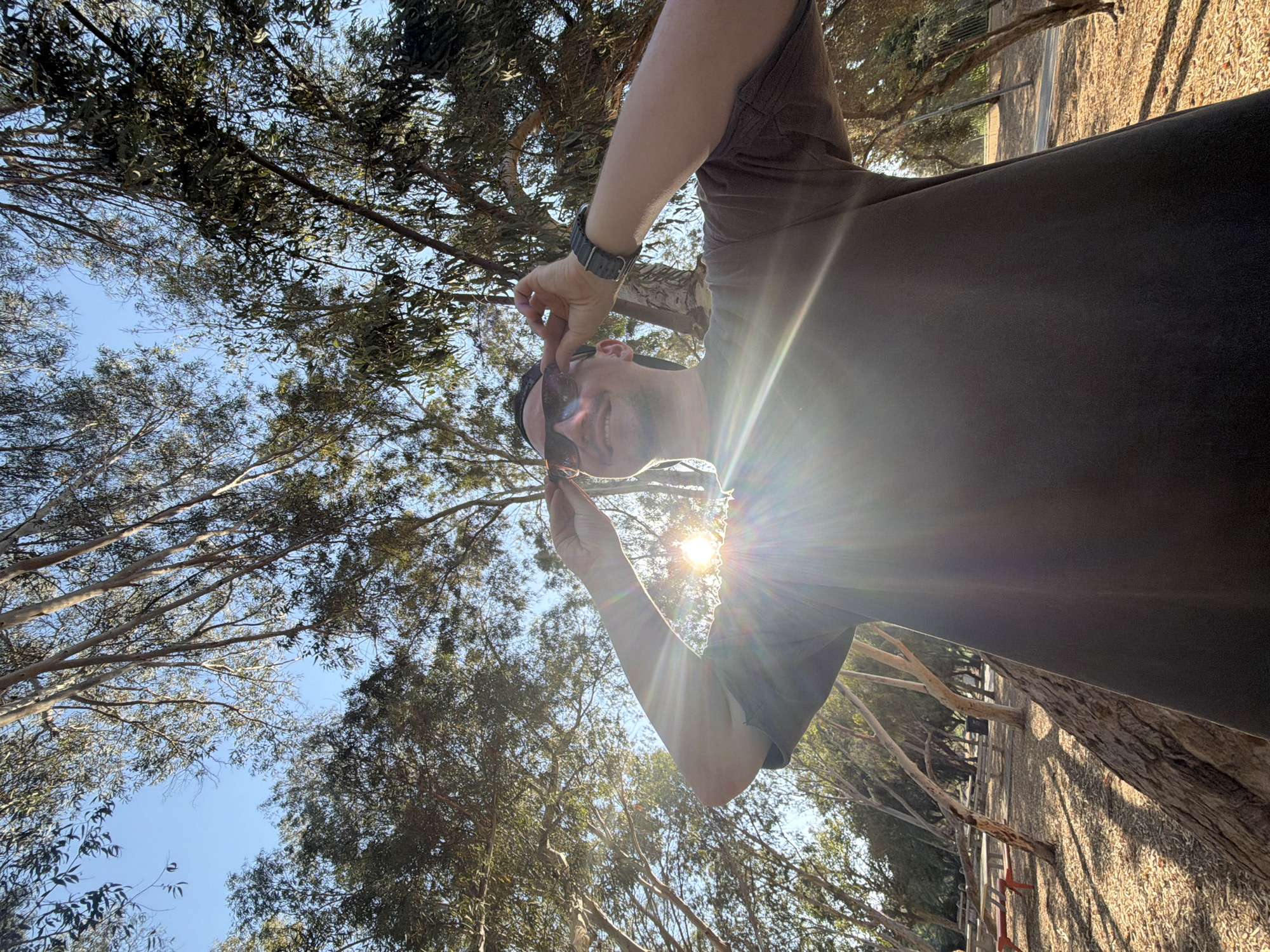 A man wearing sunglasses and a dark t-shirt is standing outdoors, looking up towards the sky. He is holding his sunglasses with his hands. The sun is shining brightly, creating lens flares and backlighting the scene. He is positioned in front of a background of trees with thin trunks and scattered leaves, some of which are silhouetted against the bright sky. The ground appears to be covered in dry leaves and bark. In the background, there are picnic tables and benches, suggesting a park or recreational area. The lighting indicates it is daytime, likely afternoon, given the angle of the sun. The general setting suggests a public park with mature trees. This location is within the city of Rishon LeZion, Israel.