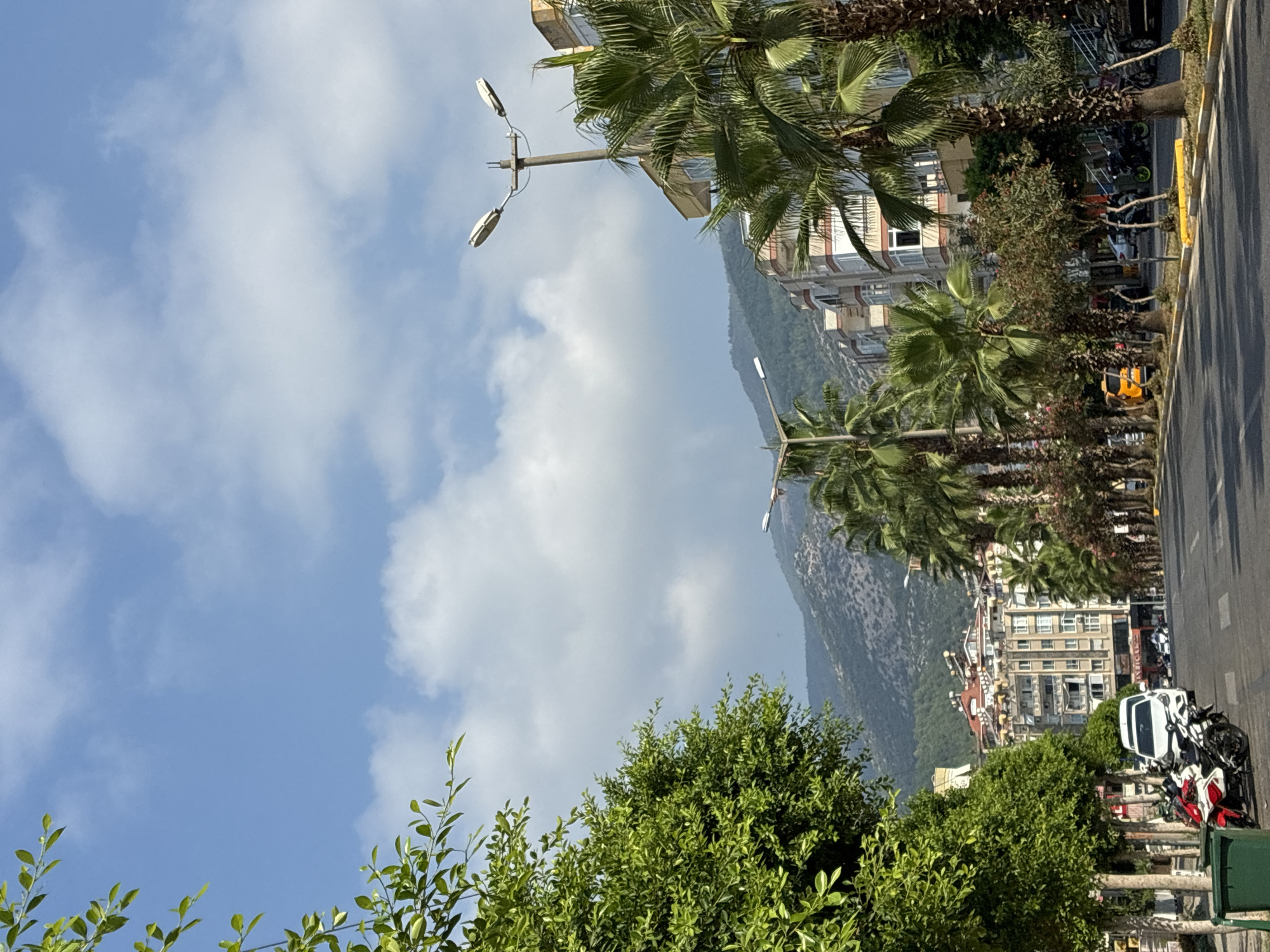 The image depicts a street scene in Alanya, Turkey, on a clear day with scattered clouds. In the foreground, a lush green tree with dense foliage is on the left side of the frame. A dark green trash bin is partially visible at the bottom left. To the right of the tree, a paved road runs diagonally into the distance. Parked on the left side of the road are two motorcycles, one red and white and the other black and white. A white car is parked behind them.
Along the right side of the road, a row of palm trees lines the street, casting shadows on the asphalt. Behind the palm trees, there are multi-story buildings with apartments, featuring balconies and windows. Some buildings are painted in light colors with red accents, while others appear to be a beige or cream color.
In the background, a large, green, mountainous landscape rises above the city. Two streetlights, each with two lamps, are visible along the street. A yellow taxi is parked further down the road, along with other vehicles and parked motorcycles. The sky is a vibrant blue, with fluffy white clouds. The scene suggests a warm, sunny day in a coastal city.