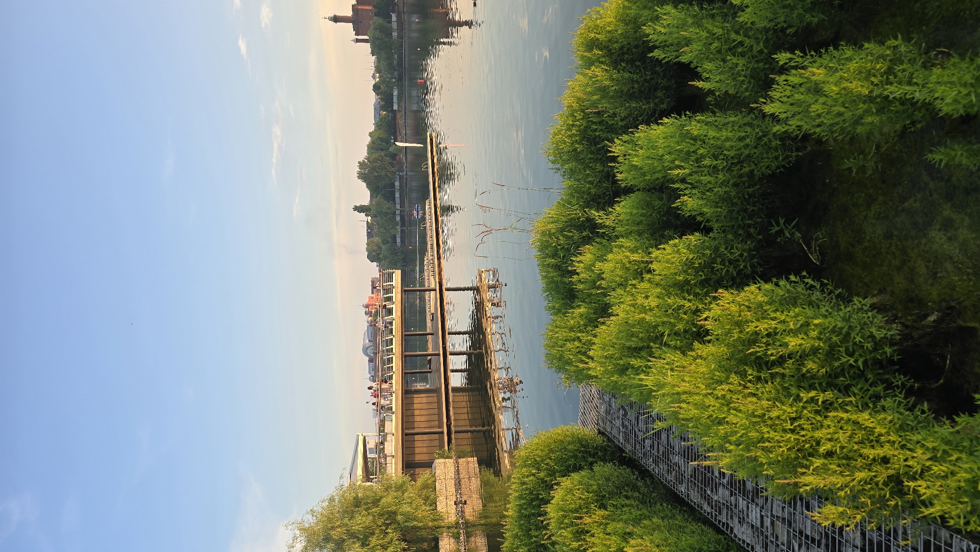 The image depicts a scenic waterfront area, possibly in Kazan, Russia, with a clear blue sky and gentle sunlight illuminating the scene. In the foreground, lush green bushes form a dense hedge along a metal grate walkway. Beyond the bushes, a calm body of water reflects the surroundings, including a modern-looking pier extending into the water. Several people are visible on the pier, standing and walking. The pier features a railing and is supported by dark vertical posts. Further in the distance, a cityscape is visible, characterized by buildings and trees. A prominent red brick tower with a green spire stands out on the right side of the horizon. A small boat is seen on the water in the middle distance. The overall atmosphere is tranquil and inviting, suggesting a park or recreational area by the water.